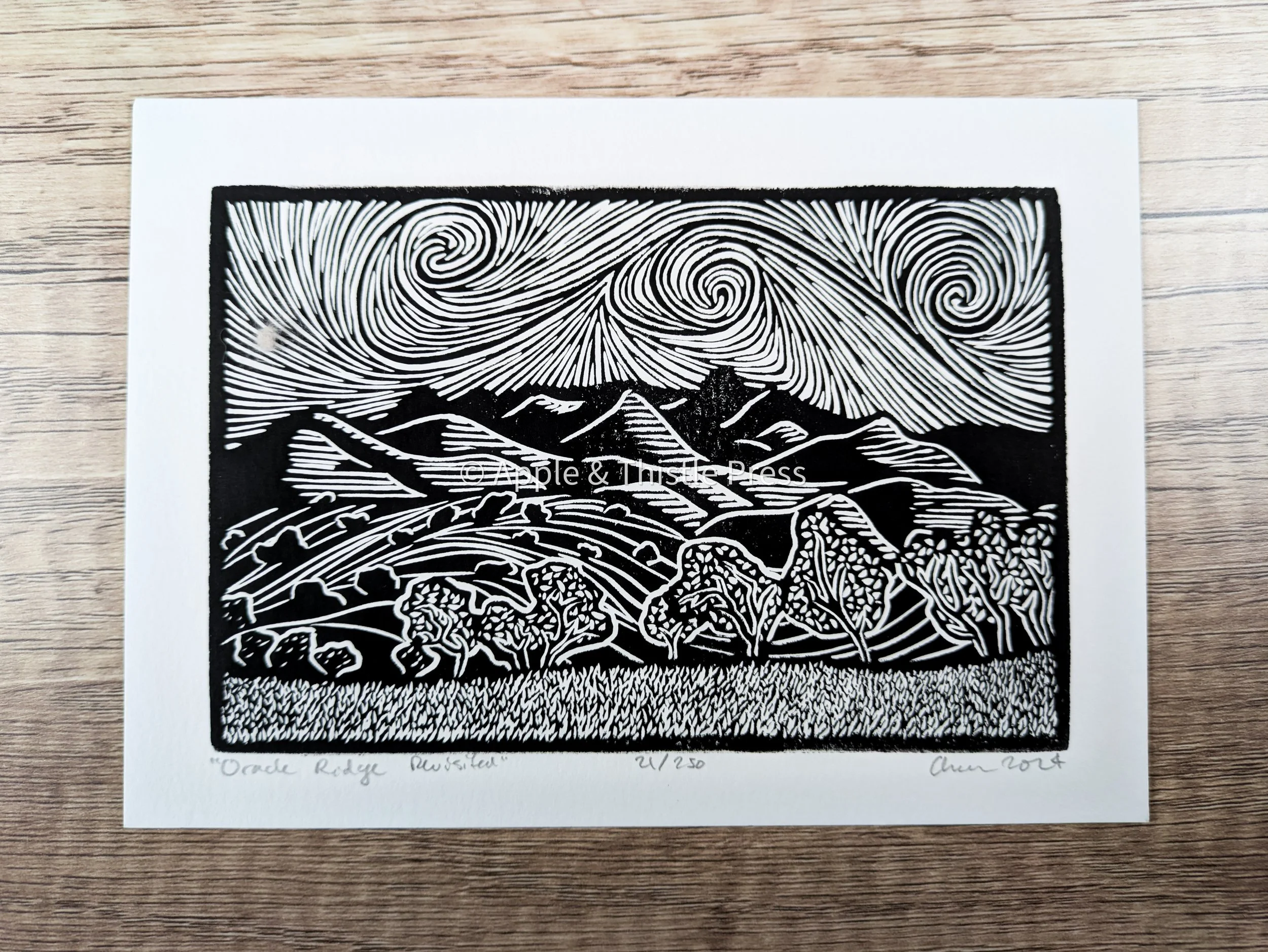 Oracle Ridge Revisited 3.jpg