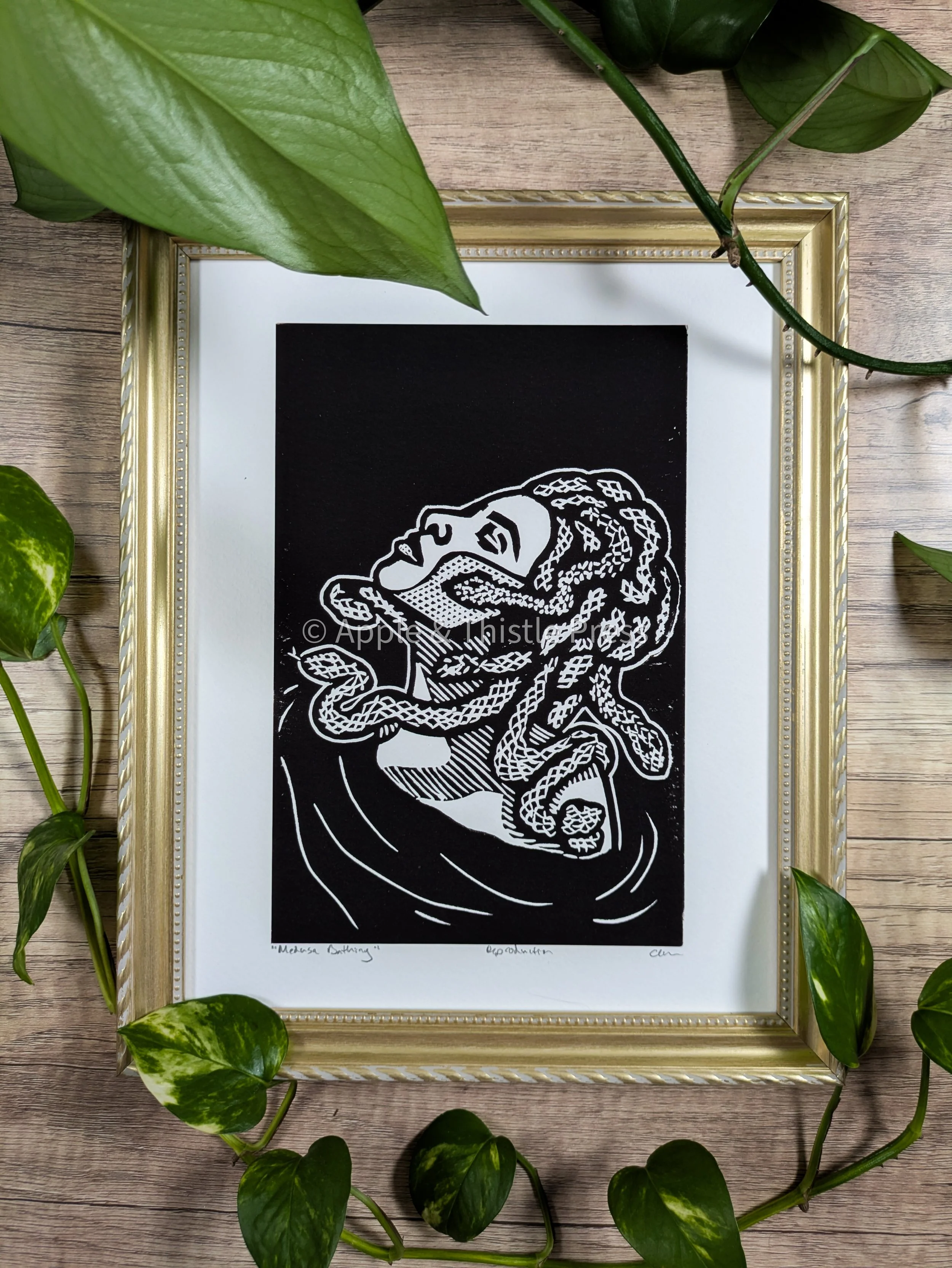 Medusa Bathing.jpg