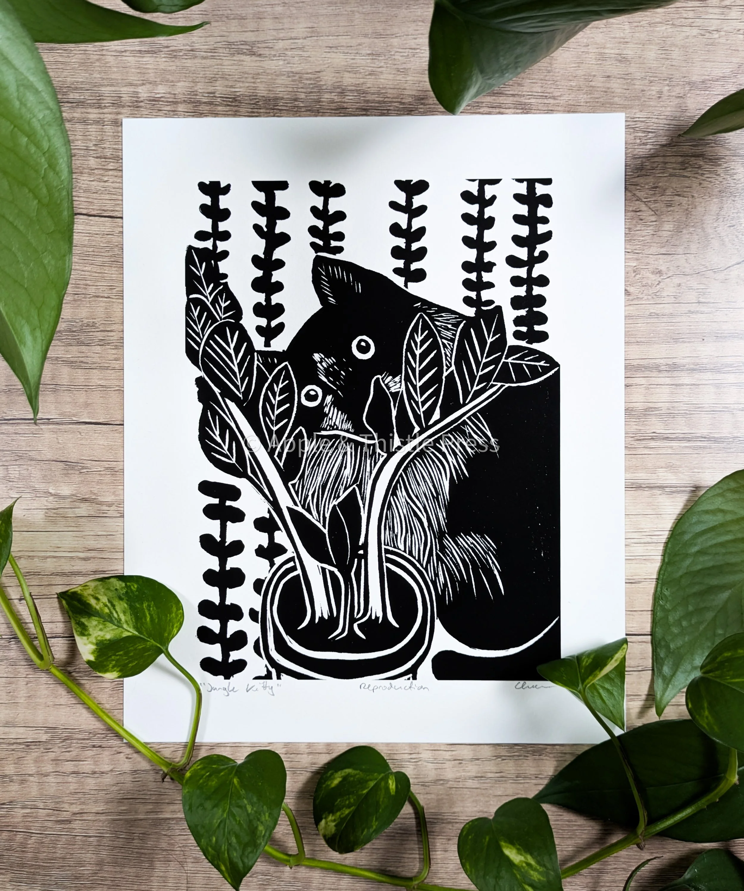 Jungle Kitty 2.jpg