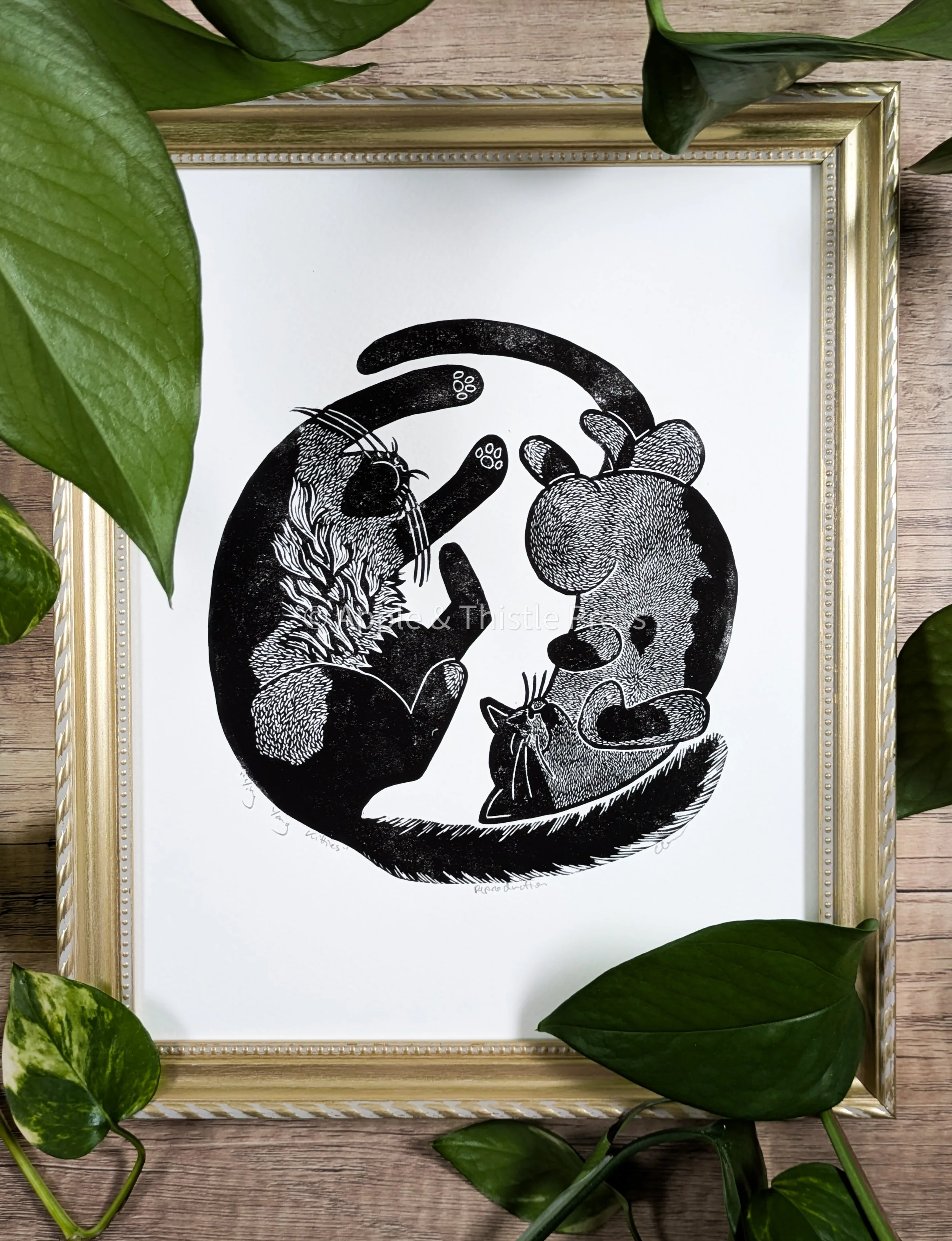 Ying Yang Kitties.jpg