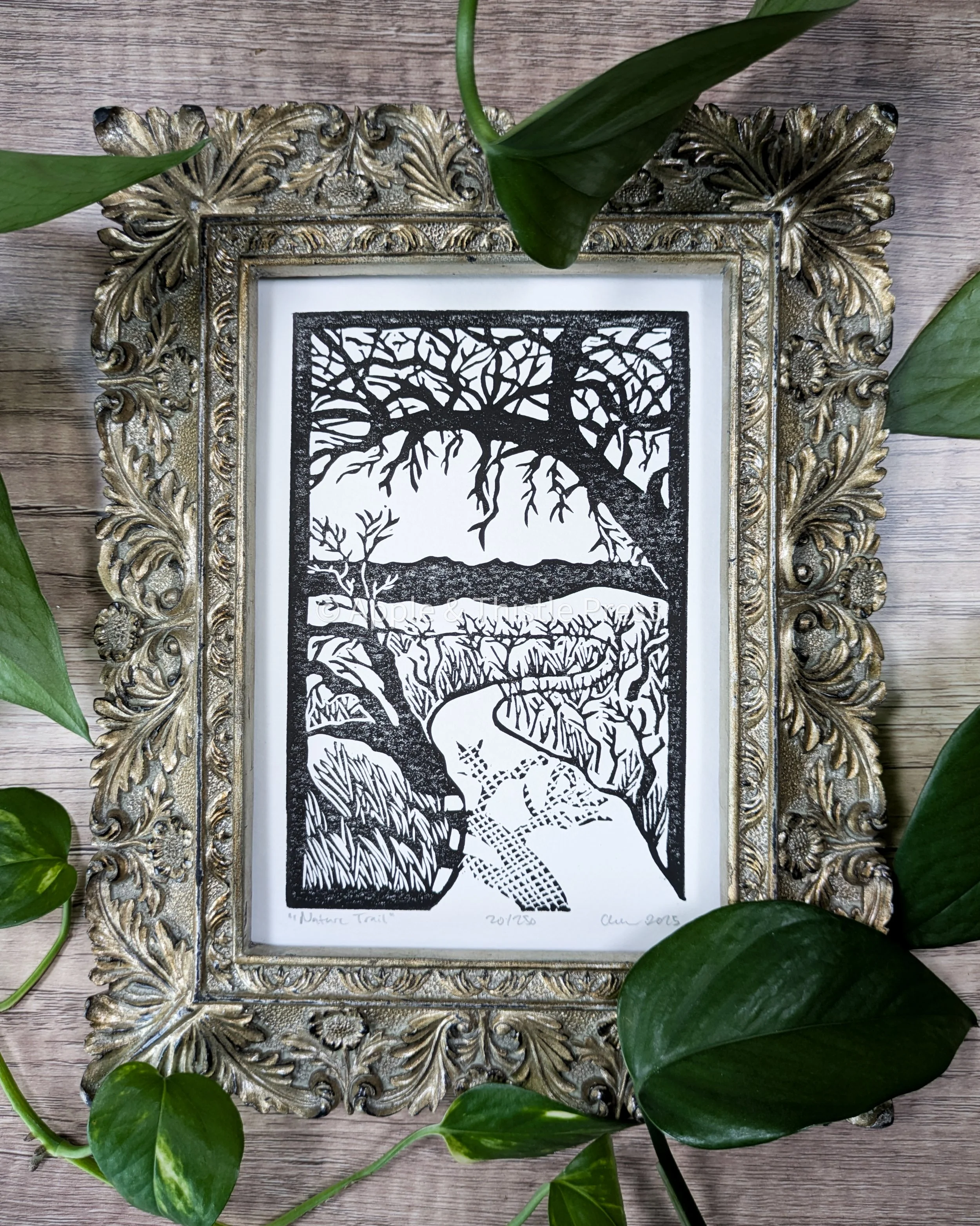 Nature Trail 1.jpg