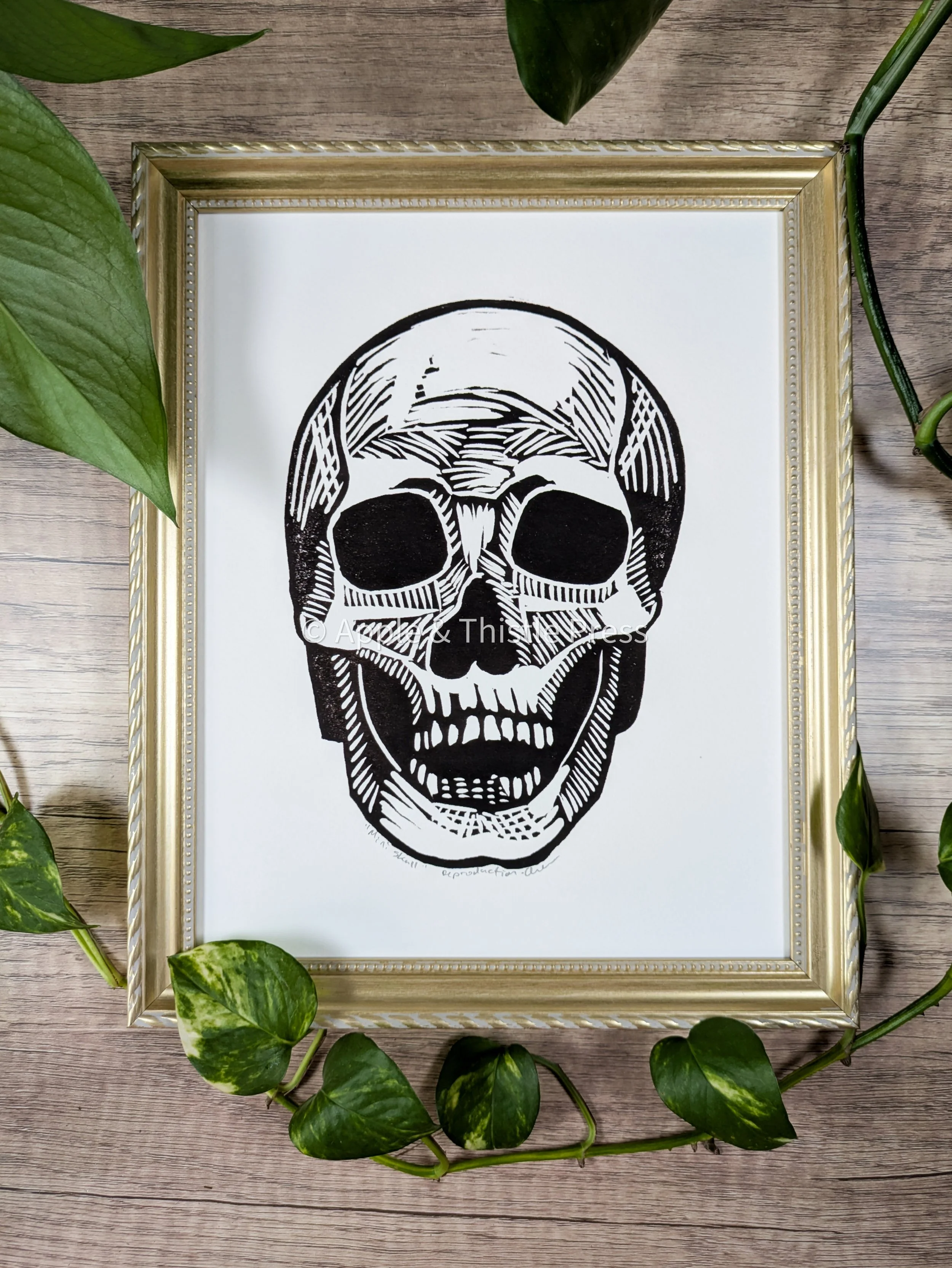Mini Skull 1.jpg