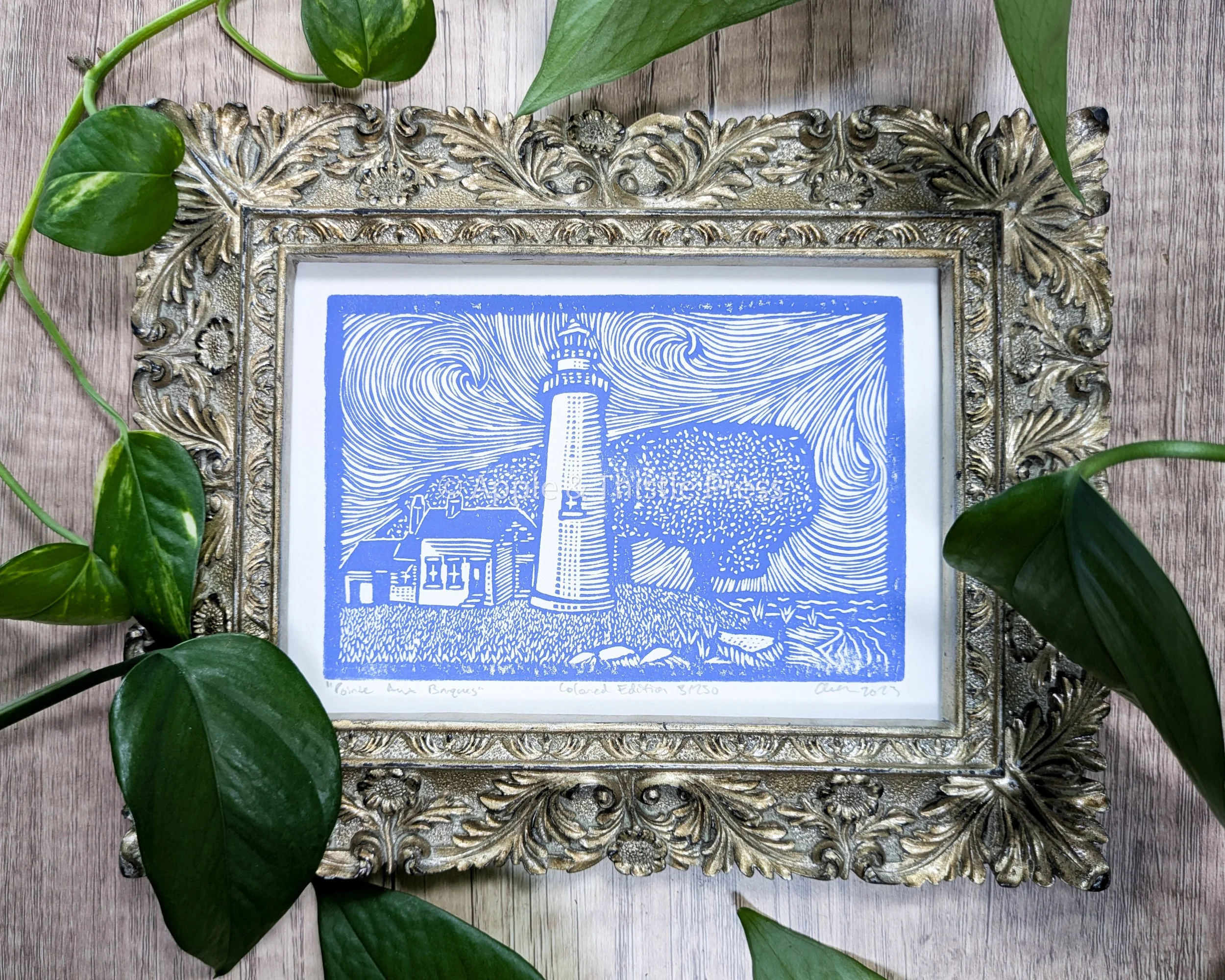 Pointe Aux Barques Blue Frame.jpg