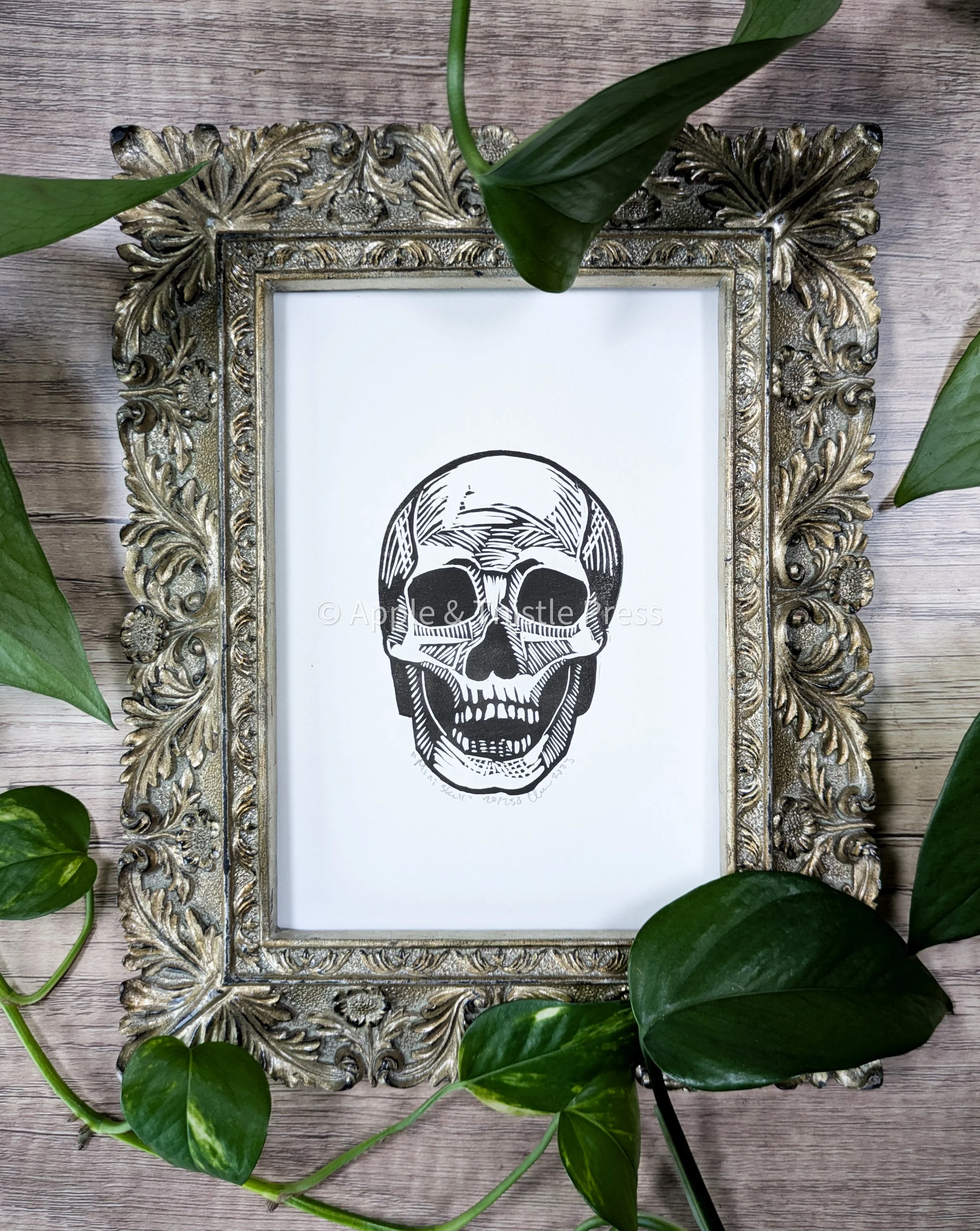 Mini Skull Ornate.jpg