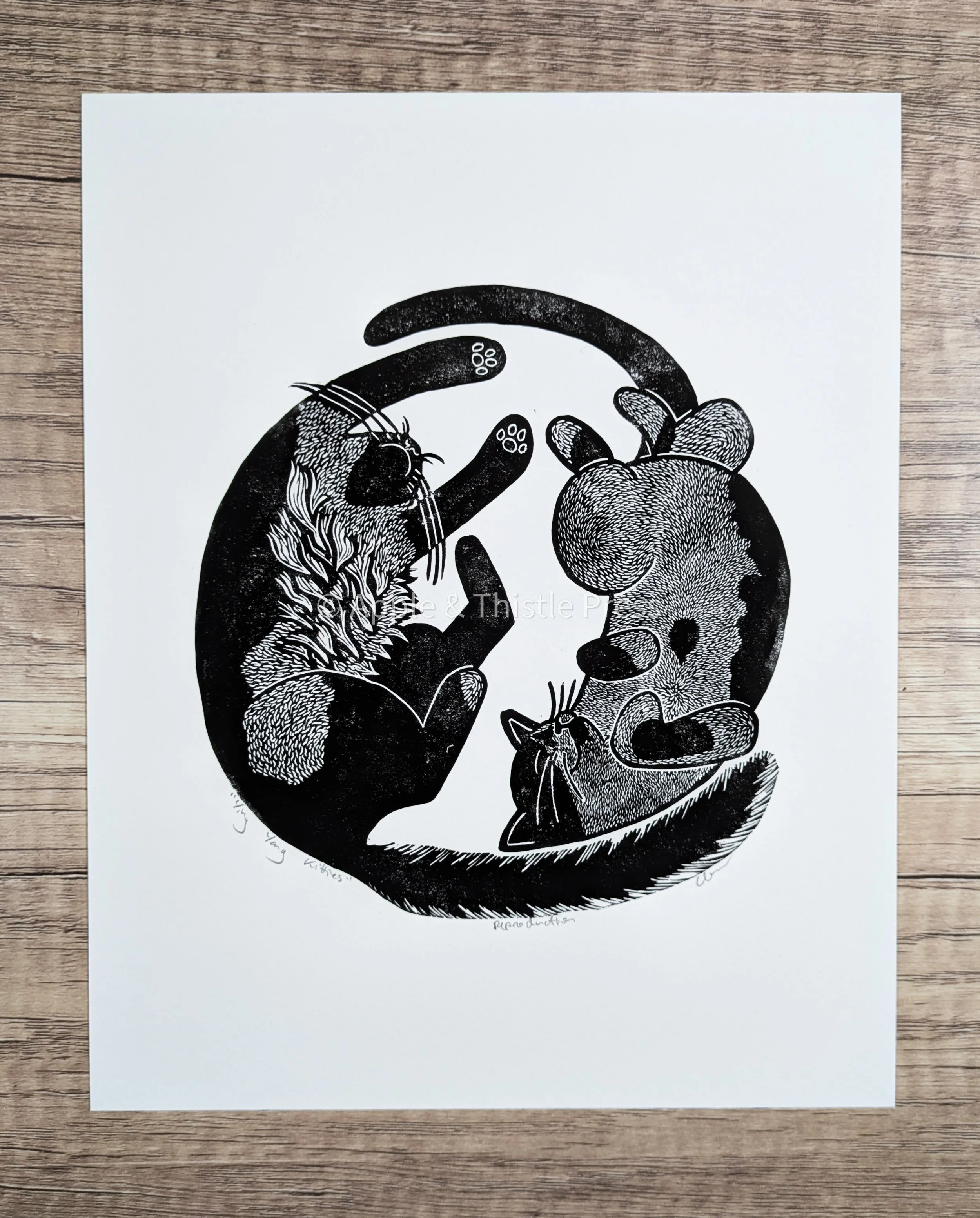 Ying Yang Kitties 3.jpg
