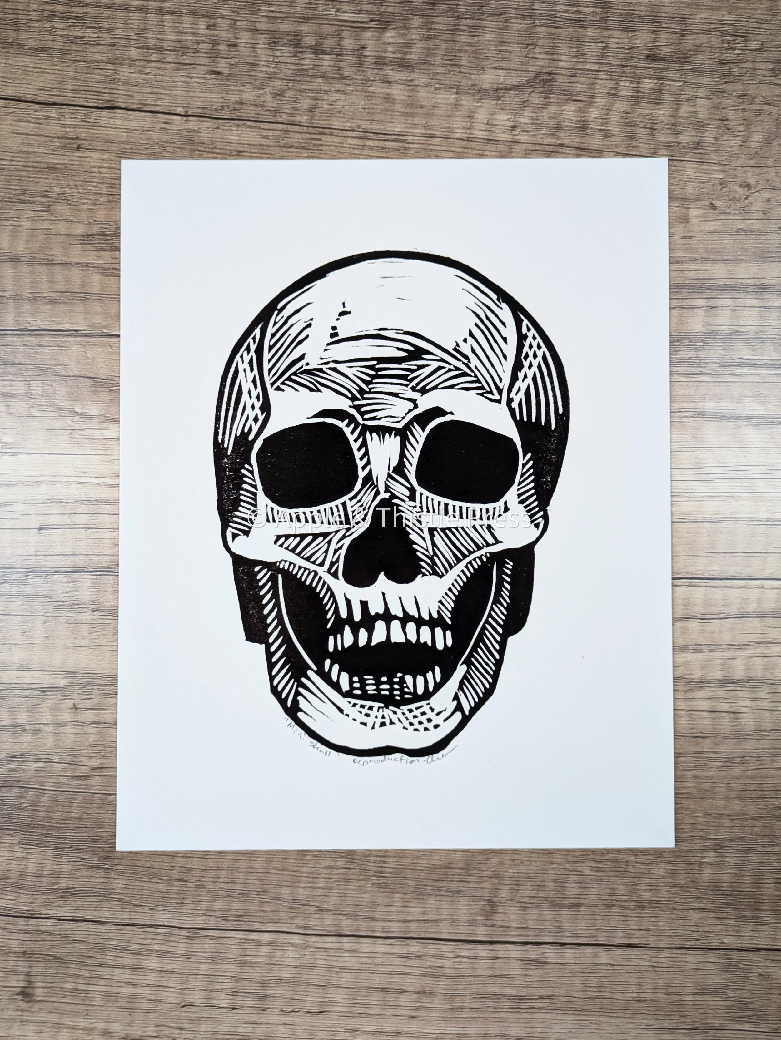 Mini Skull 3.jpg