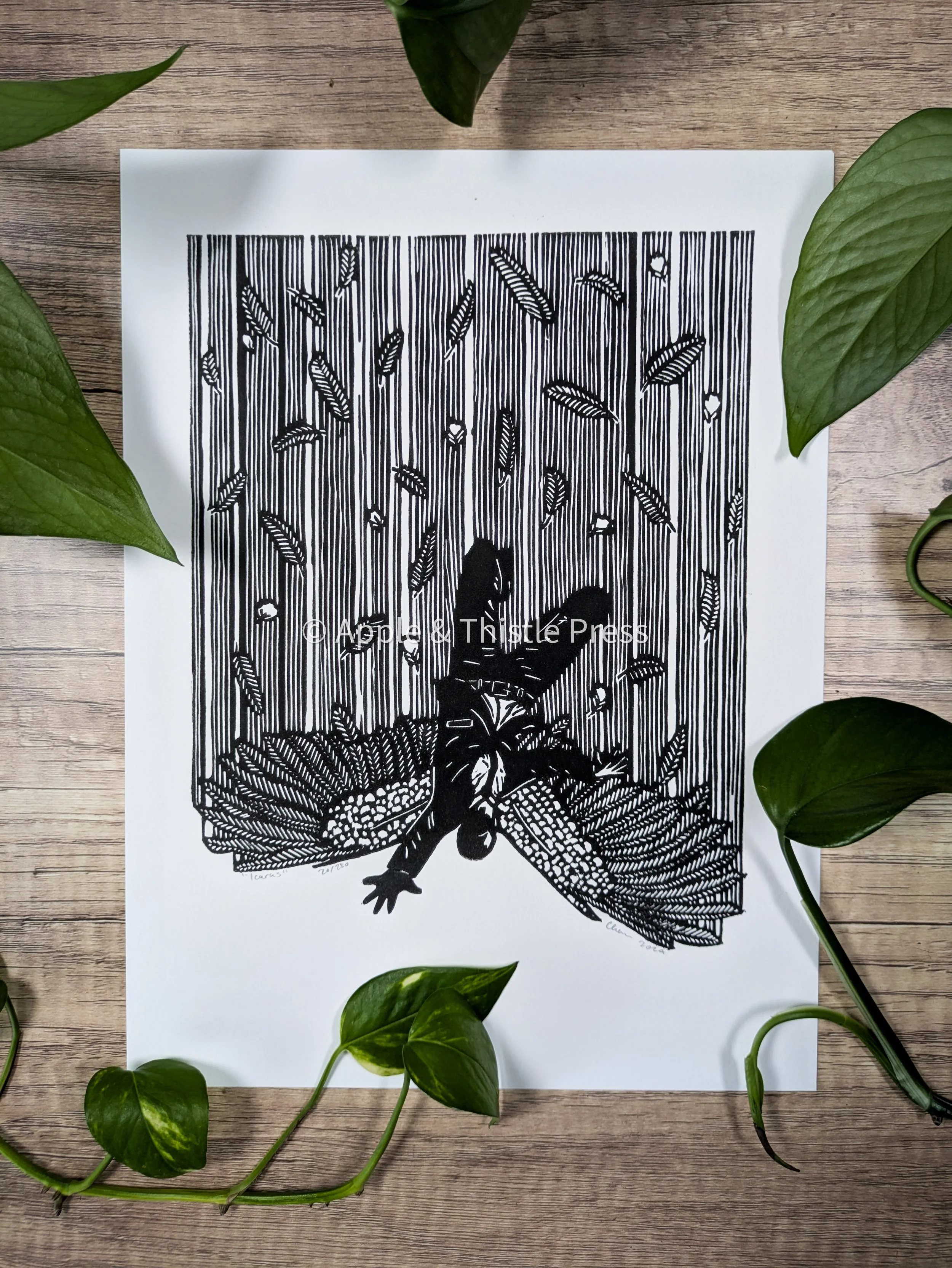 Icarus 2.jpg