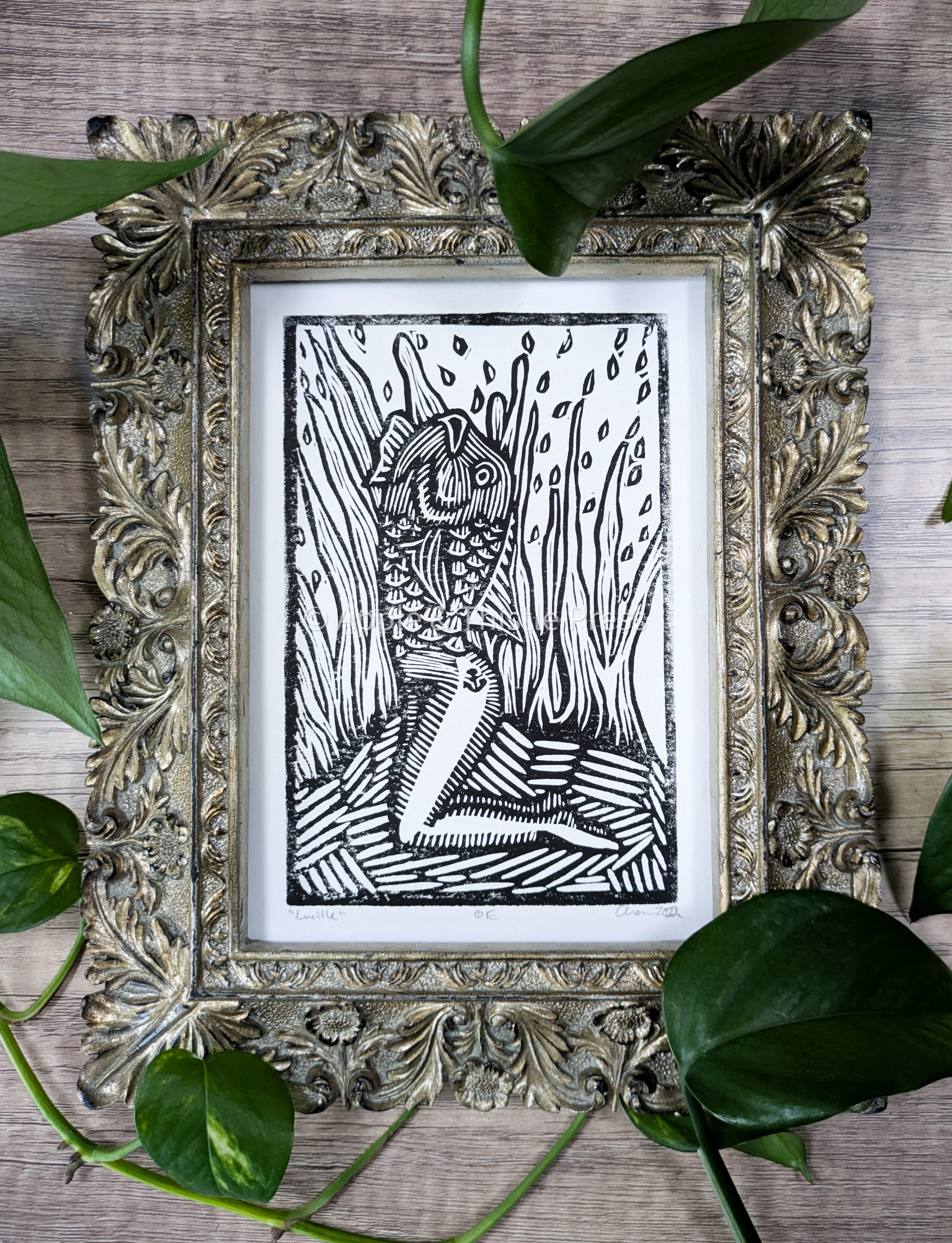 Lucille Ornate.jpg