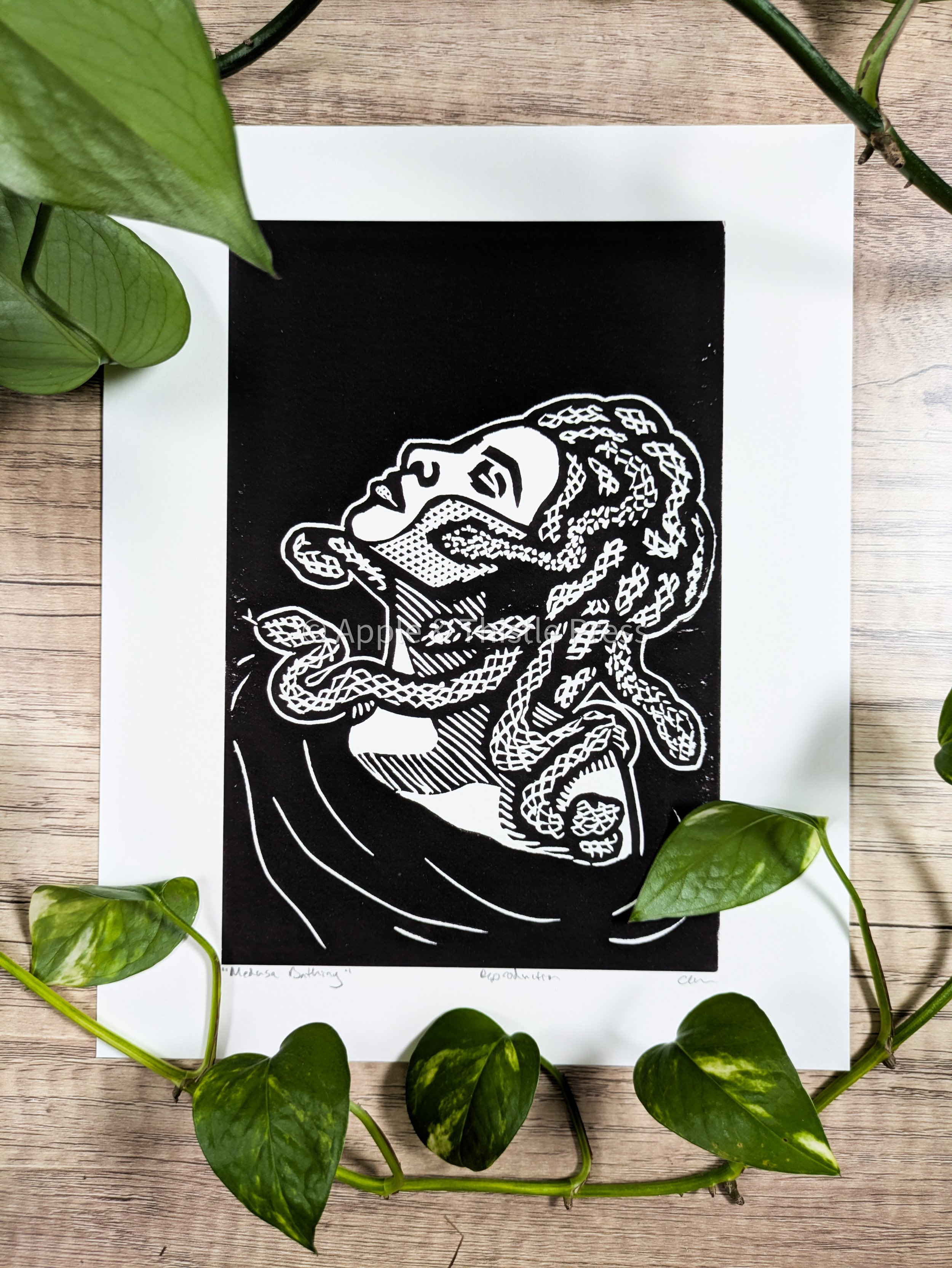 Medusa Bathing 1.jpg