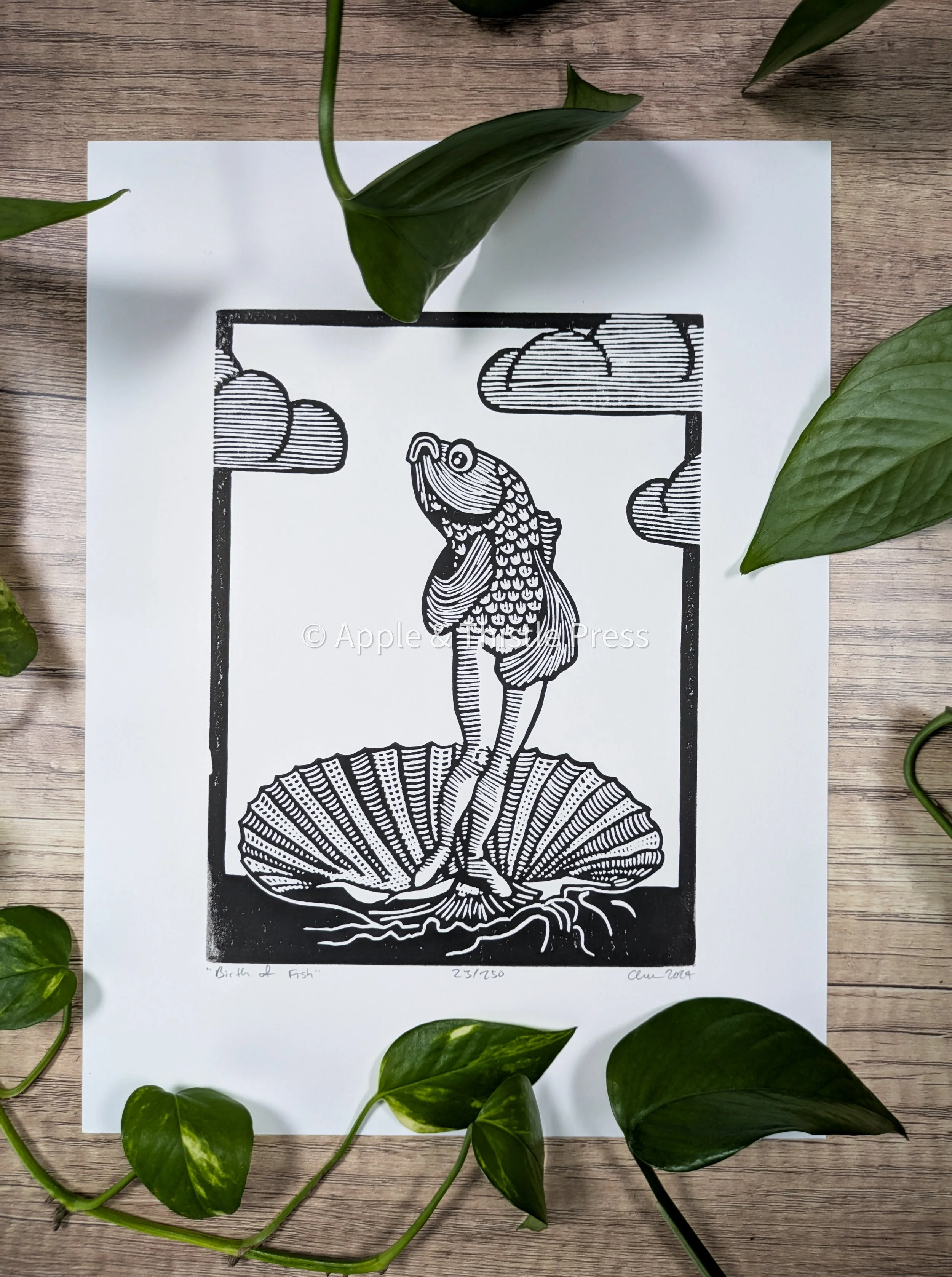 Birth of Fish