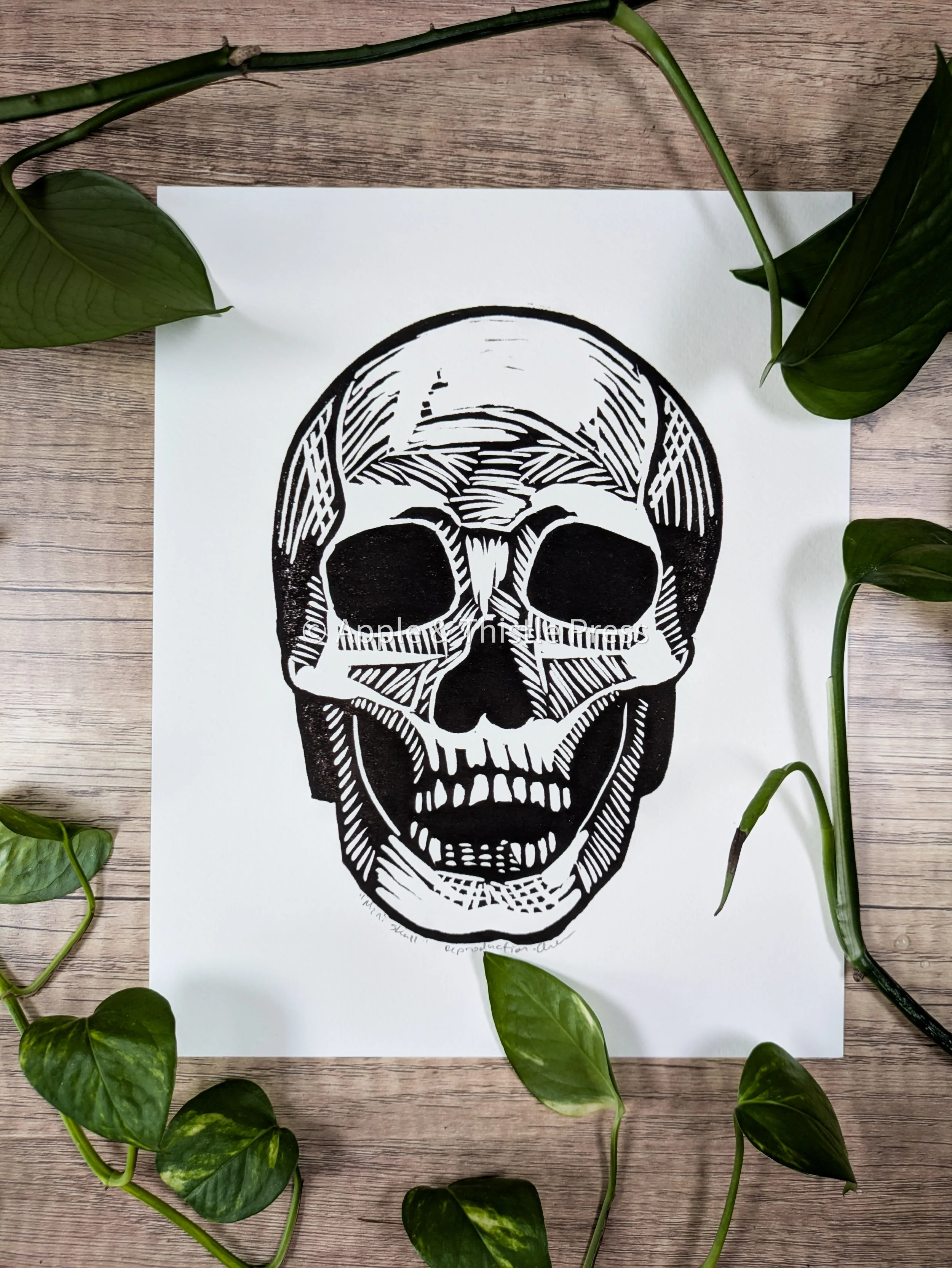 Mini Skull 2.jpg