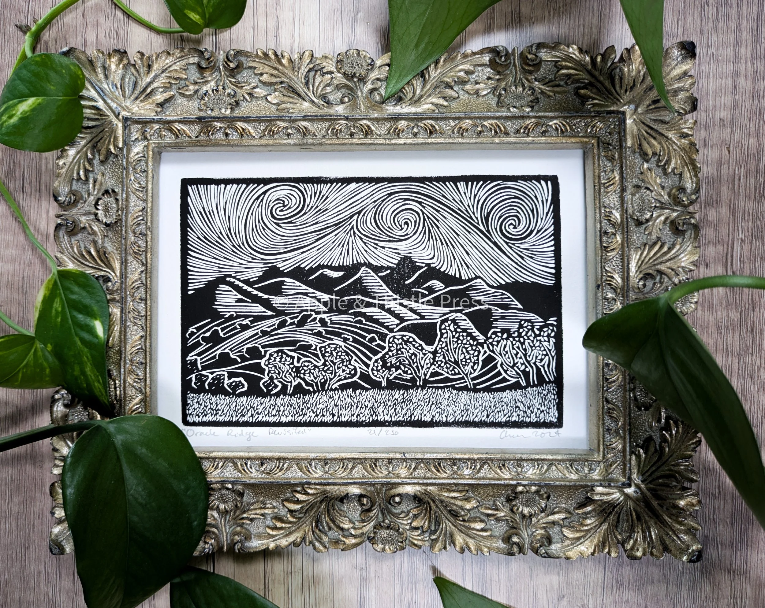 Oracle Ridge Revisited