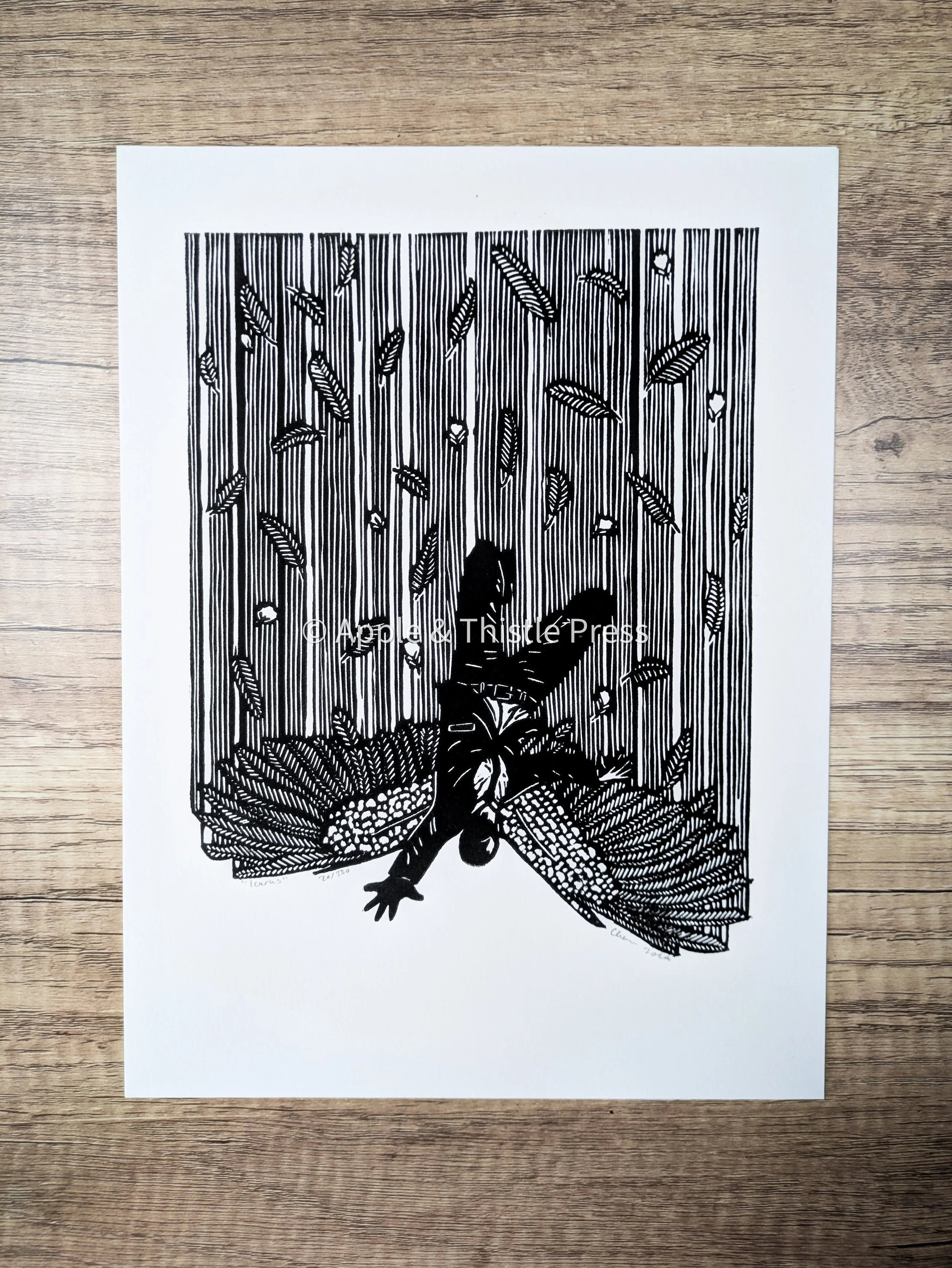 Icarus 3.jpg