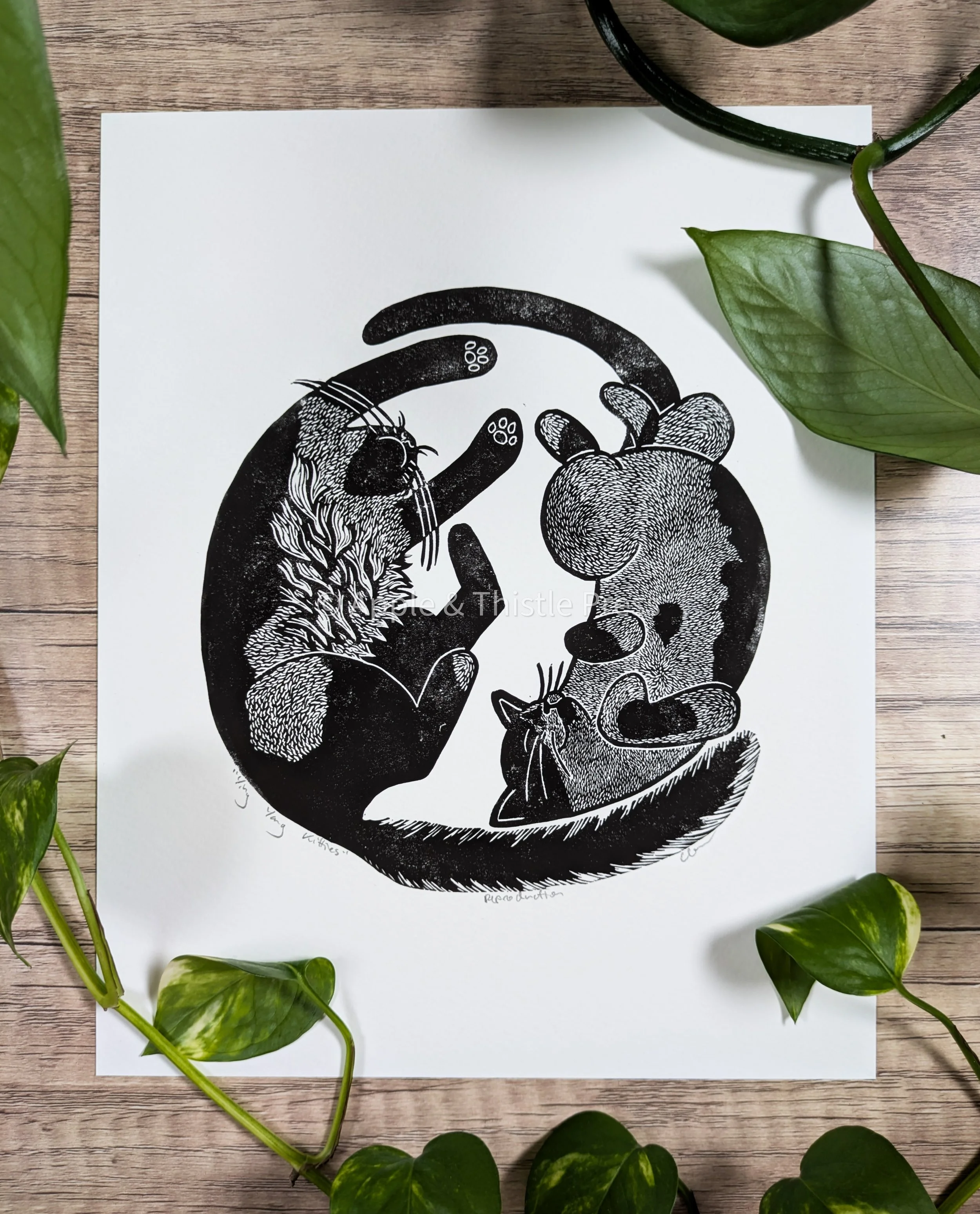 Ying Yang Kitties 2.jpg