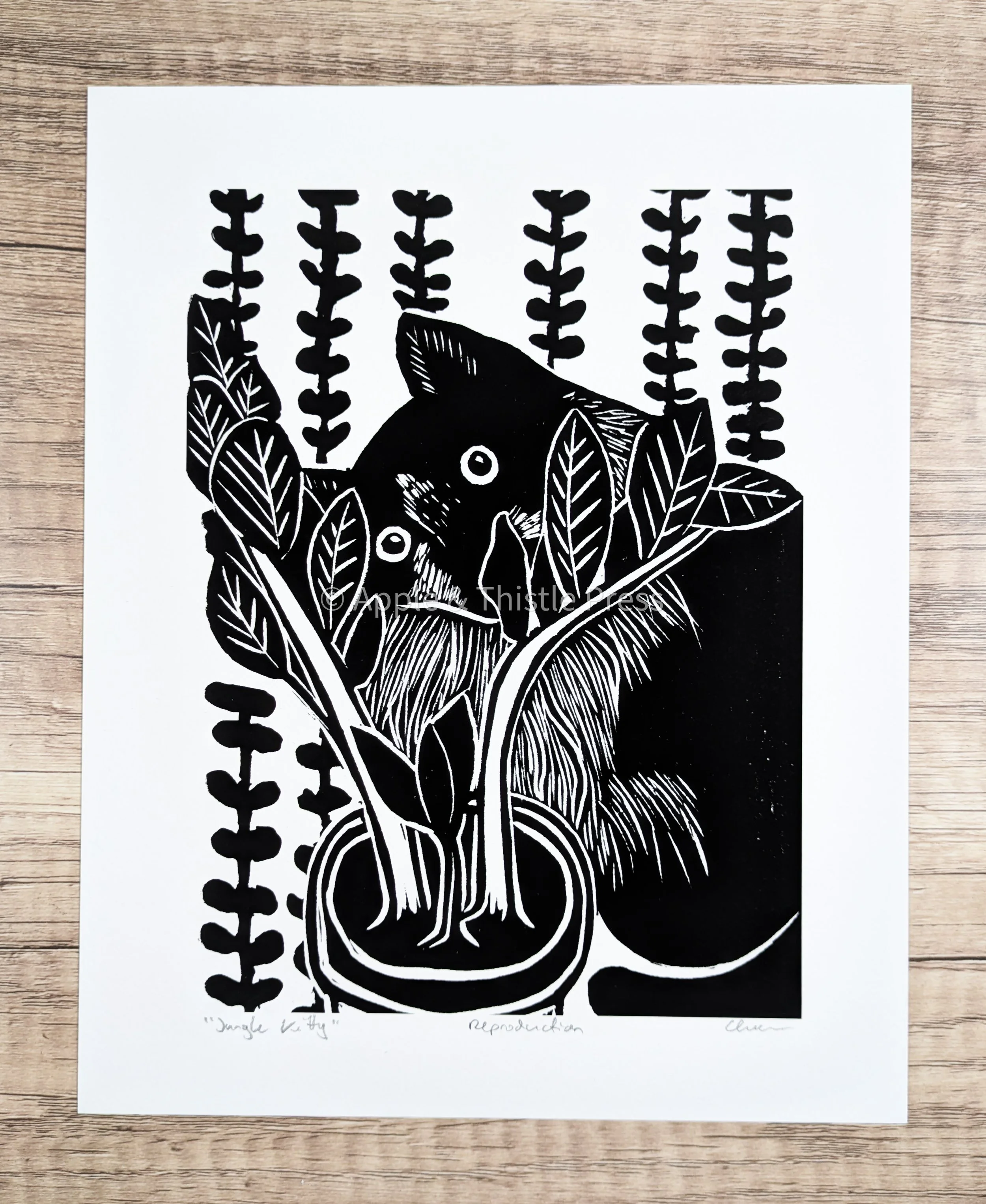 Jungle Kitty 3.jpg