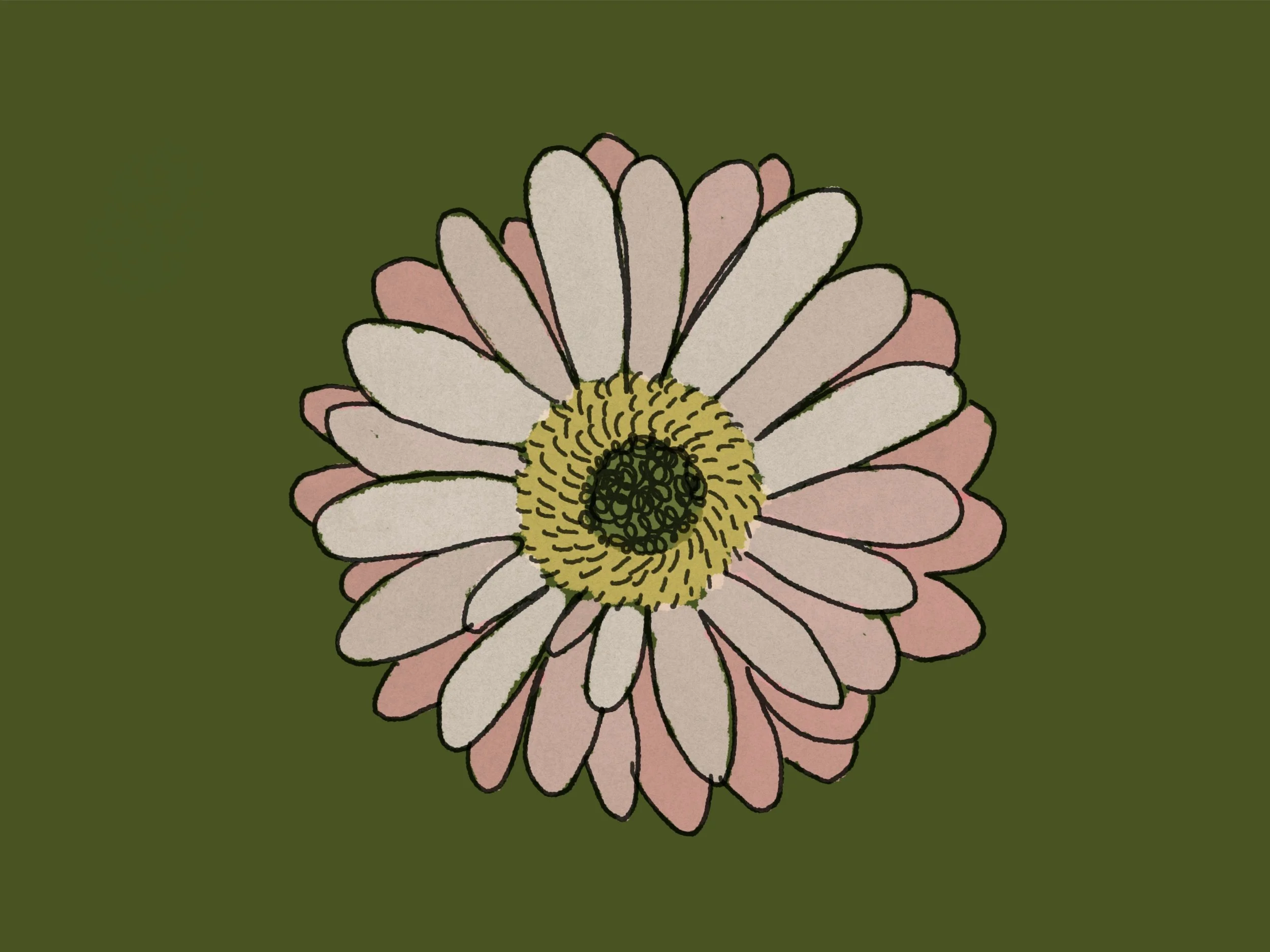 Digital illustration of a flower with white and pink petals and a yellow and black center, on a dark green background.