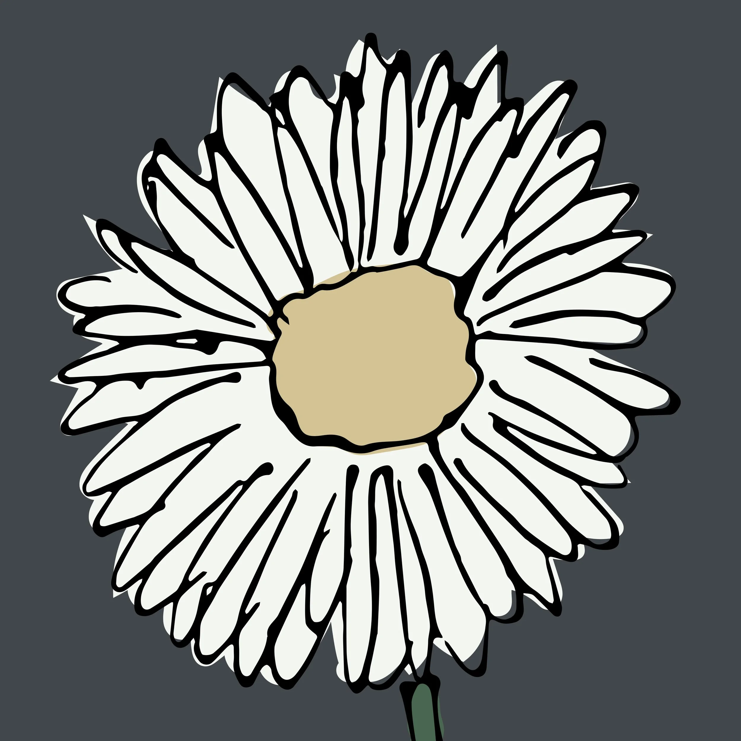 Digital drawing of a white daisy flower with a beige center against a dark gray background.