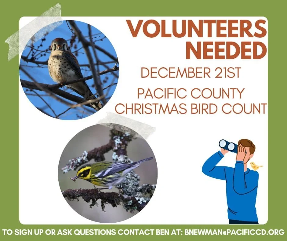 Repost from @pacificconservationdistrict
&bull;
🚨Calling all birders!🚨

This year&rsquo;s Christmas Bird County begins on December 21st and we are looking for volunteers! All experience levels are welcome 🐦🦅!

To sign up or get more information c