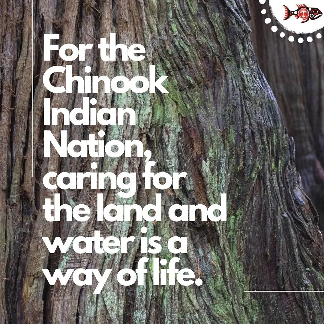 Repost from @everydaychinook
&bull;
Every day is Earth Day for the Chinook. 🌿
But this Earth Day, we invite you to witness the work directly.
Join us for the online premiere of Guardians of the Waters.
This short documentary follows our work in the 