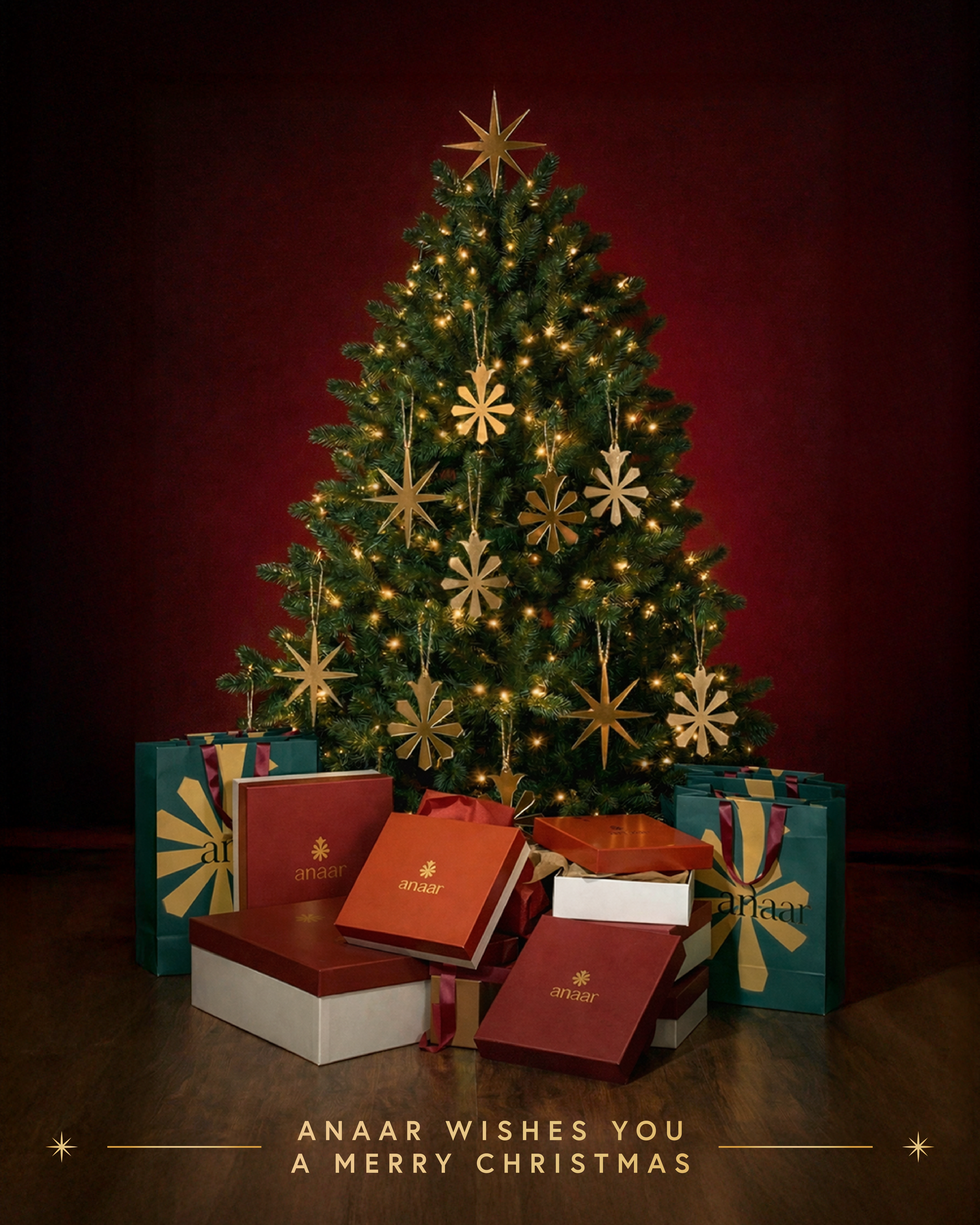 Anaar Christmas Static (1).png