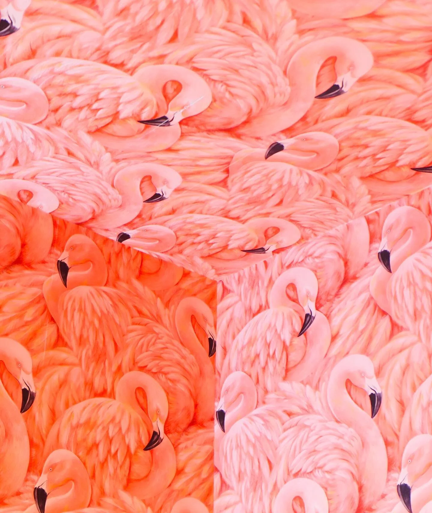 I wish my bathroom at home was as beautiful as this π¦©π€©