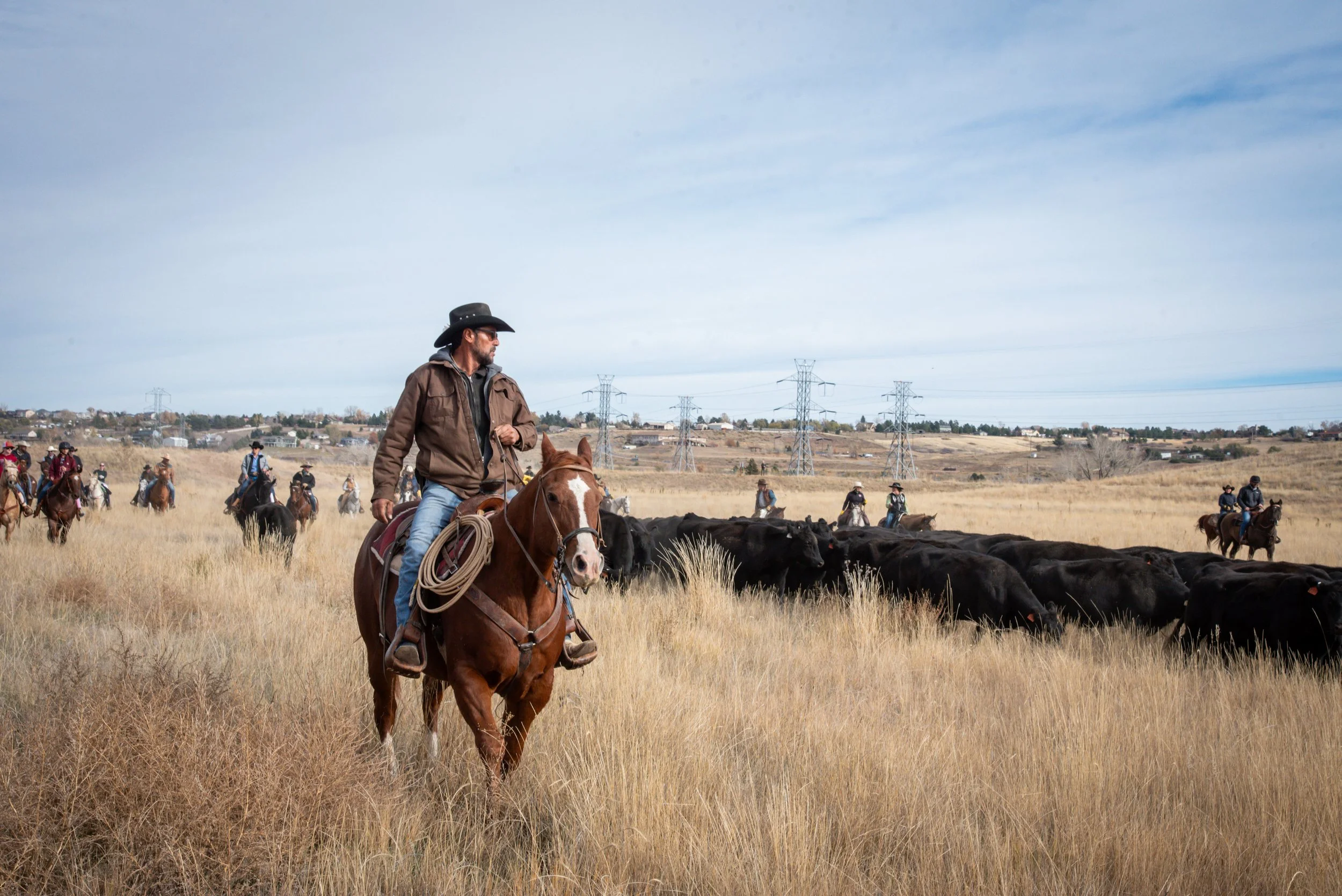 Neighbors watching community cattle drive in open space in master-planned community