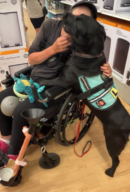 Letting Go of Ruby: When an Assistance Dog Journey Takes a Different Path