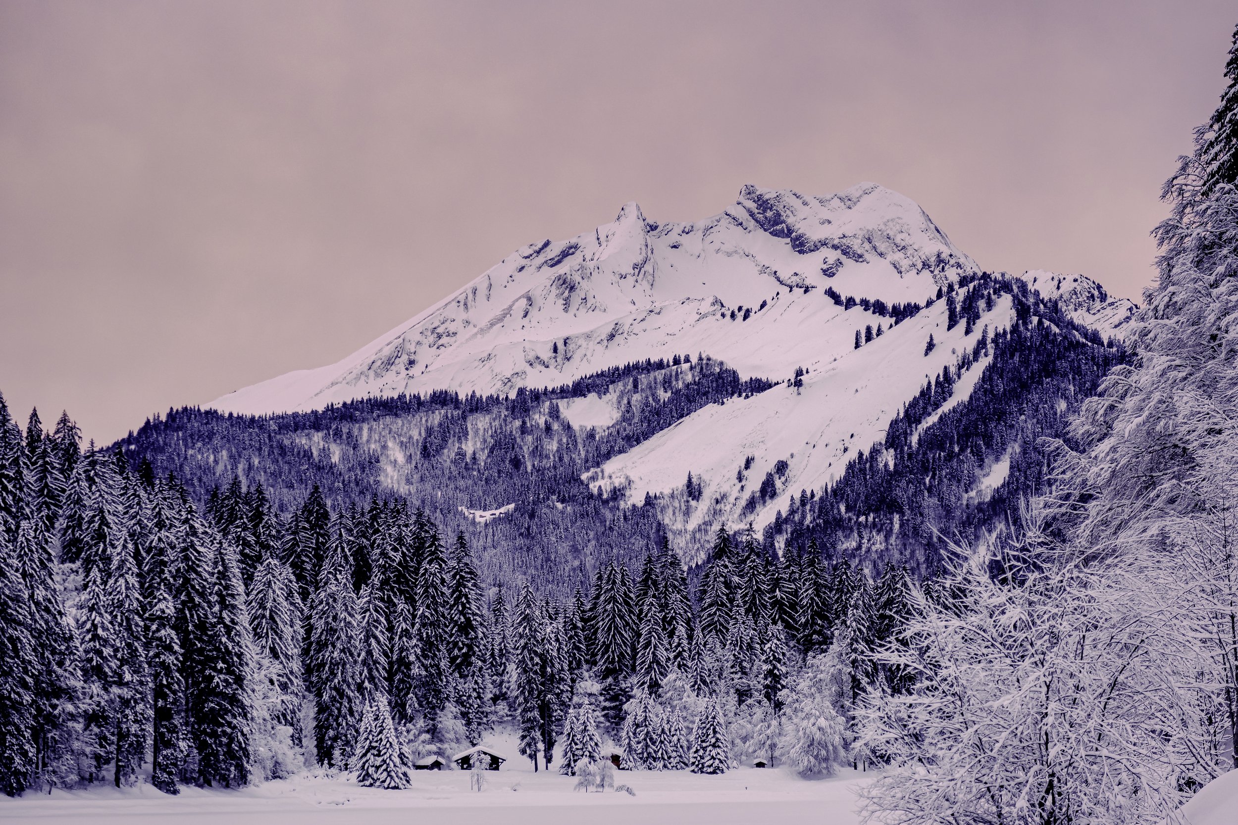 DSCF0411-Edit.jpg