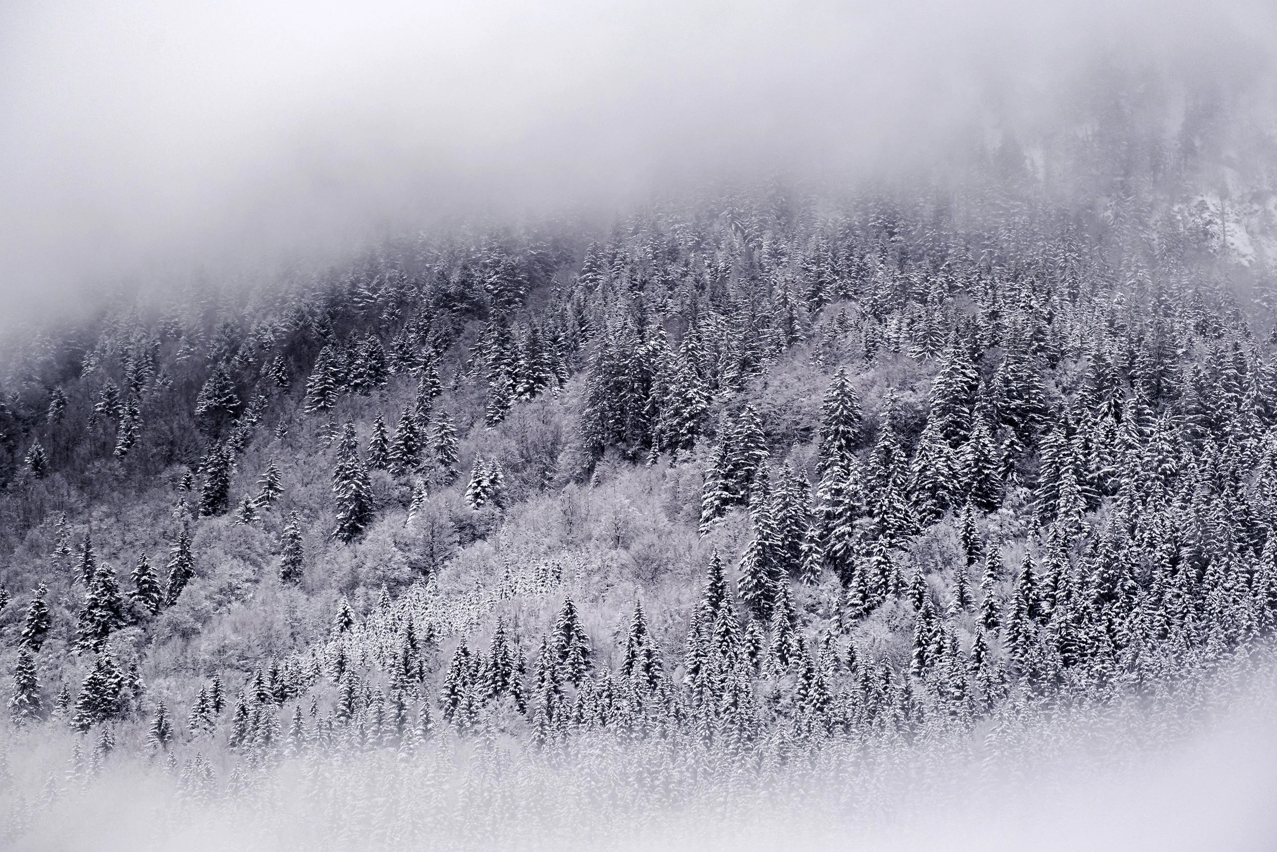 DSCF1381-Edit no frame.jpg