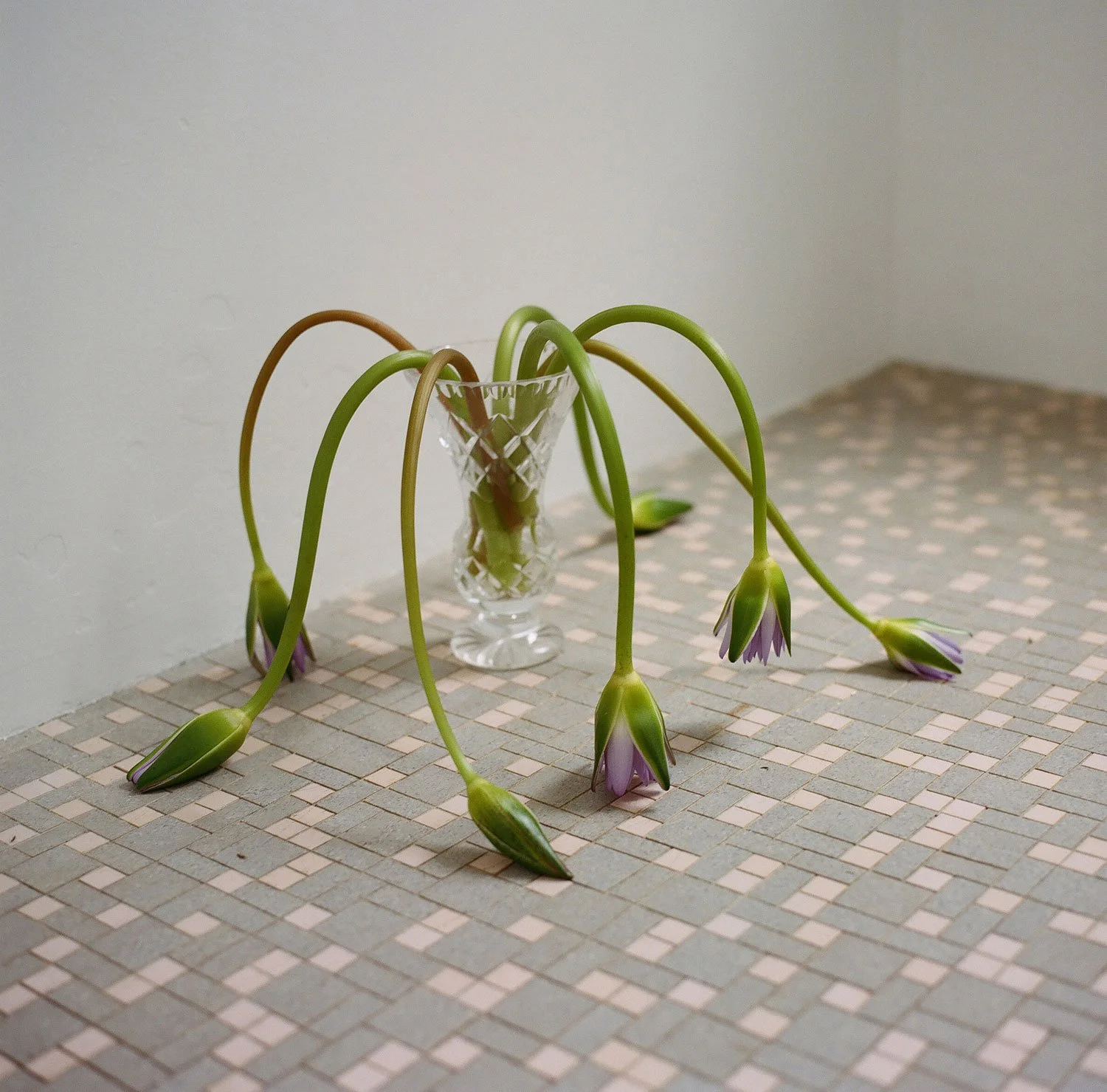 Interview with Jesse BoydReid — WÜL Magazine
