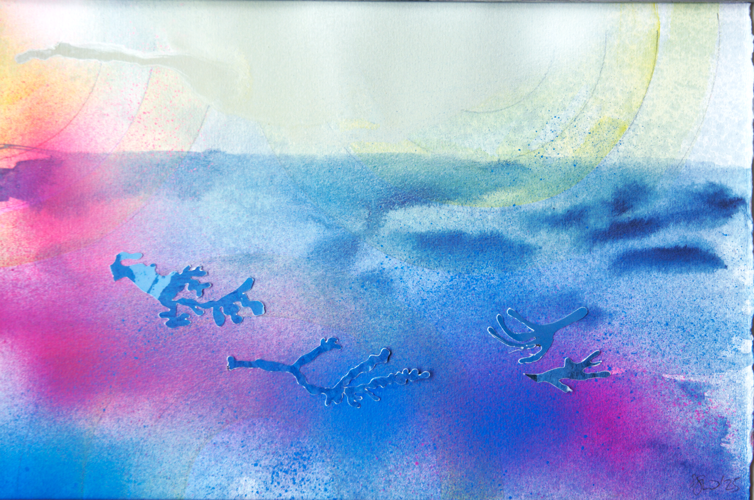 Natural history - Hunga Tonga 2025