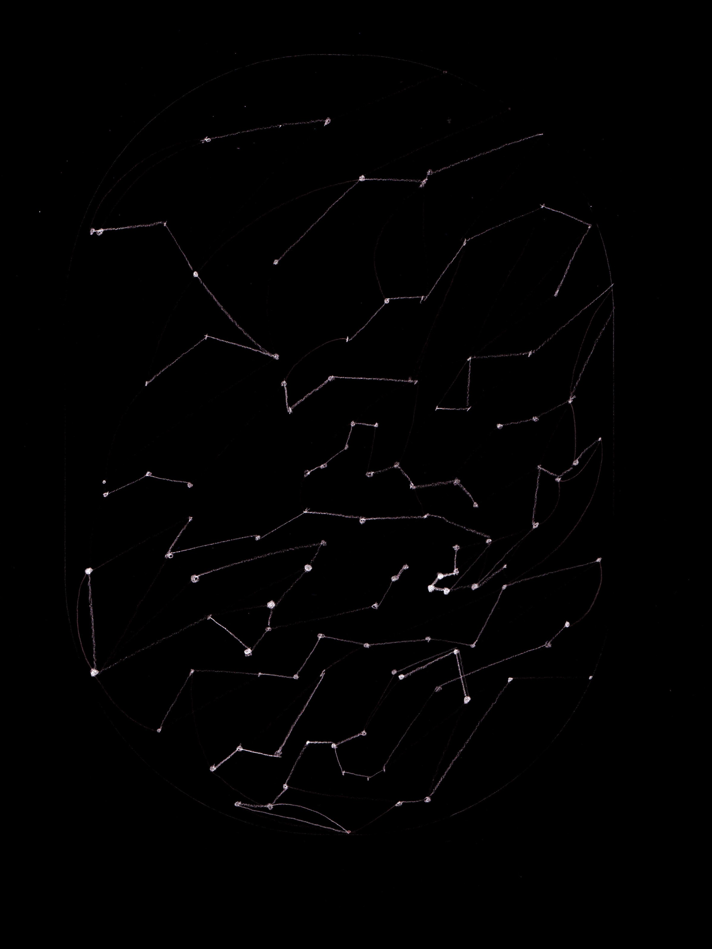 dance Susie Wright SW25 detail.png