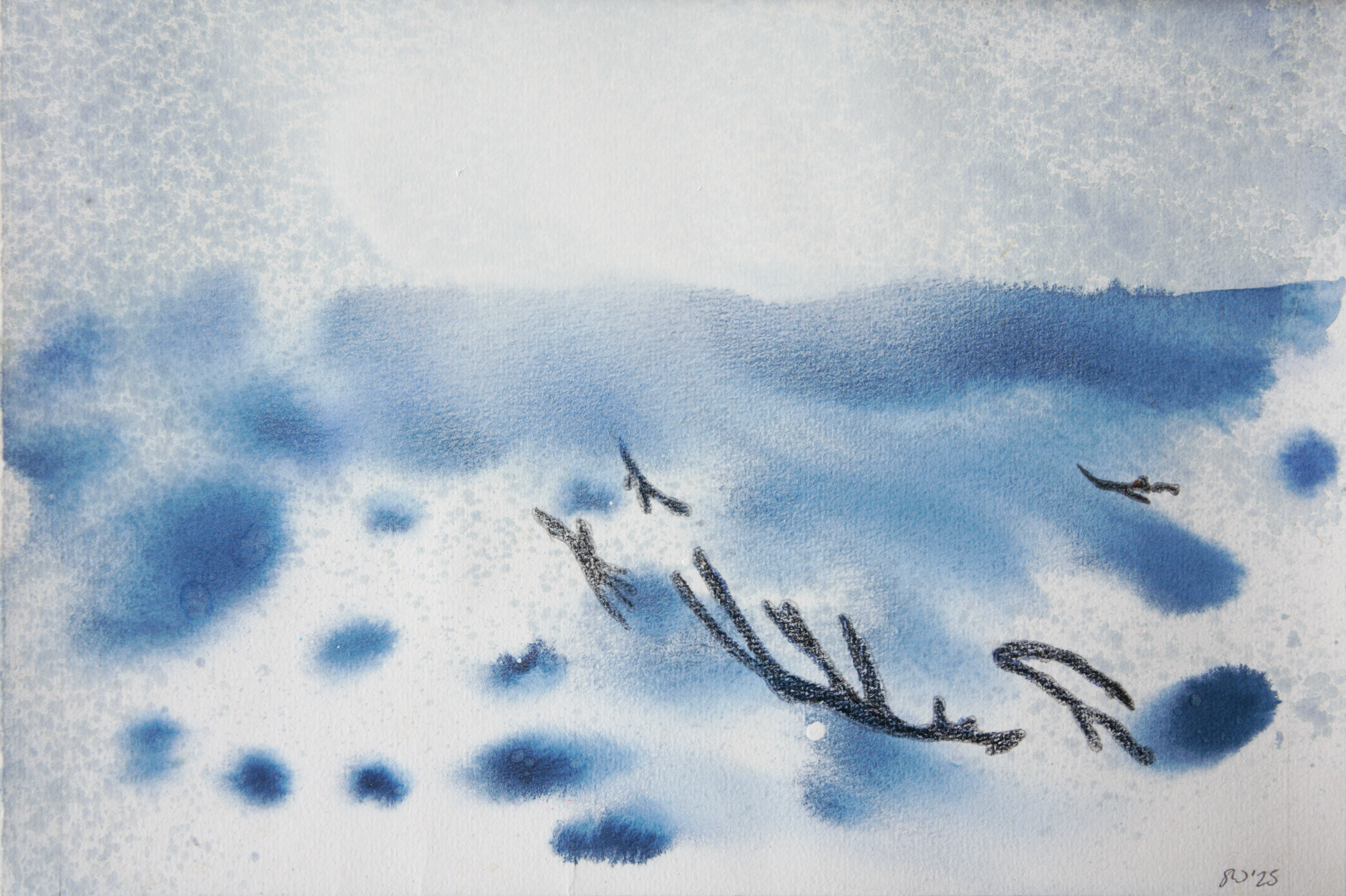 Natural history - Hunga Tonga deep tremor 2025