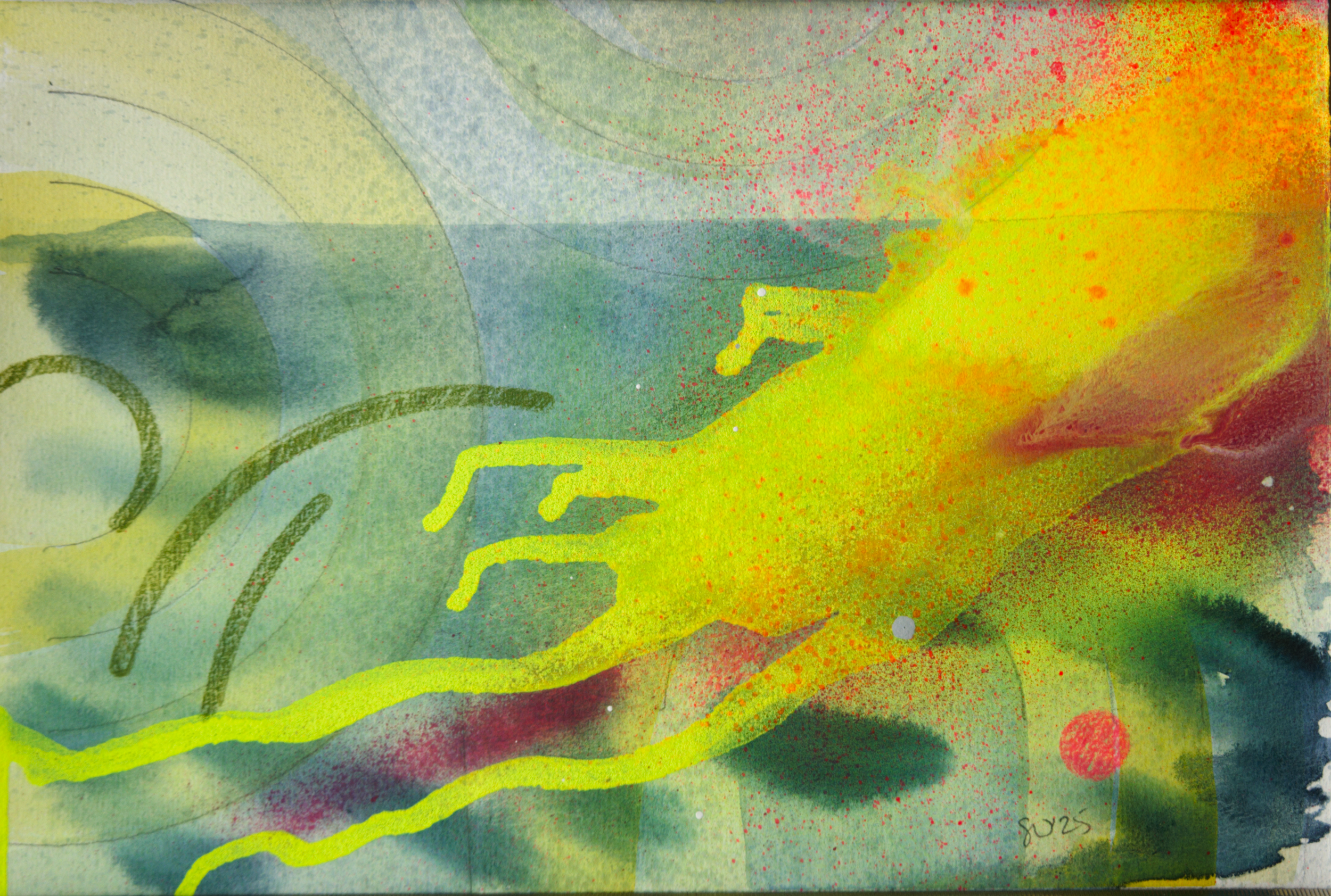 Natural history - Hunga Tonga 2025