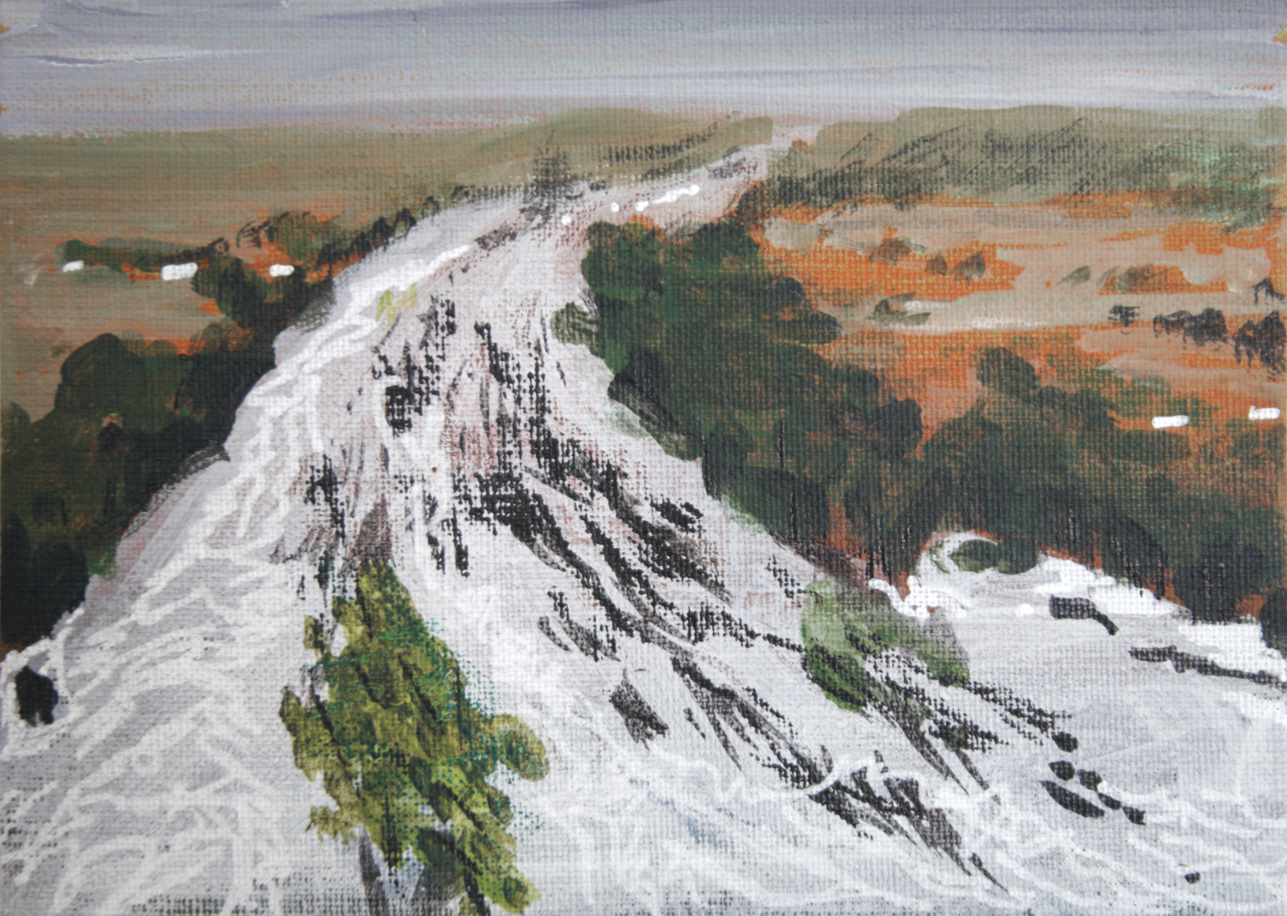 Unnatural history / Deadly flooding Texas - Acrylic on linen 13cmx9cm 2026