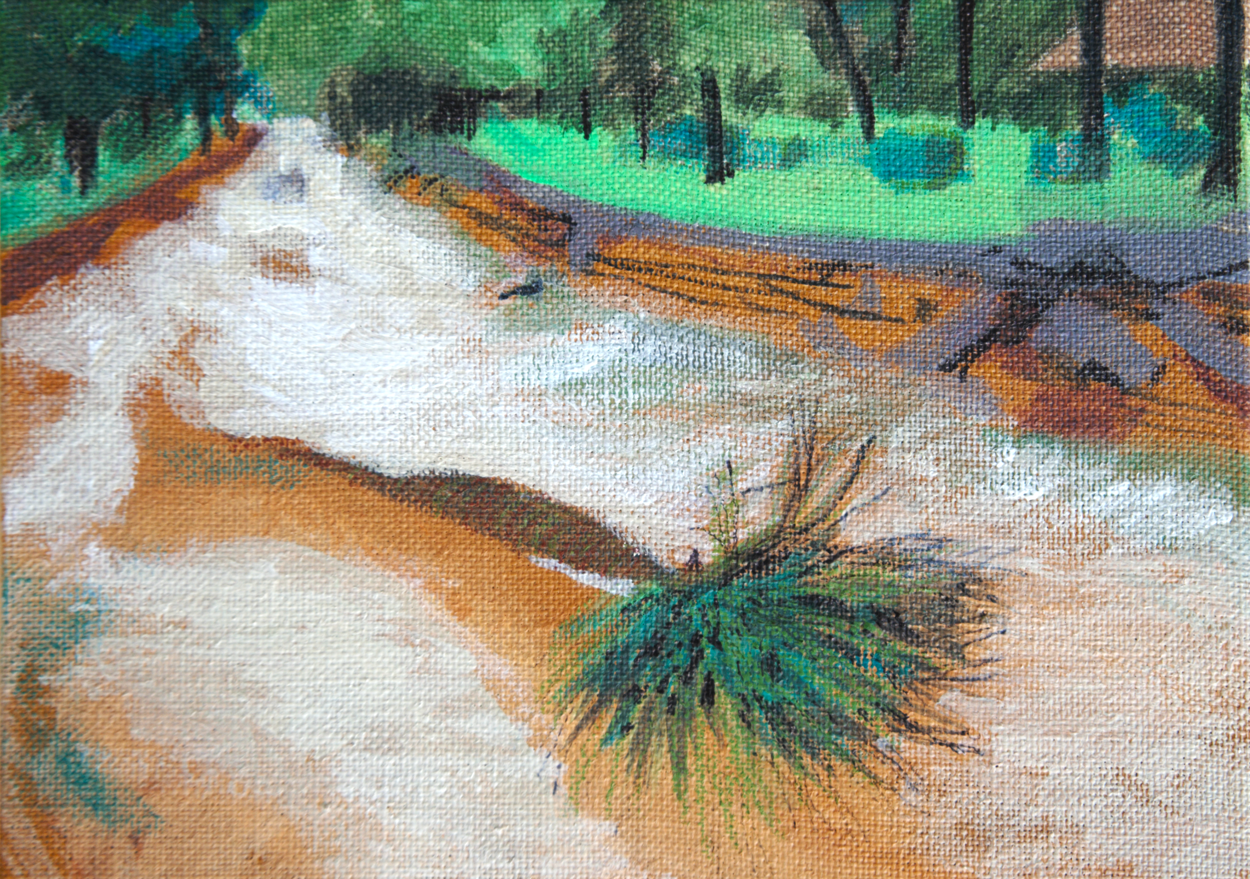 Unnatural history / Florida - Acrylic on linen 13cmx9cm