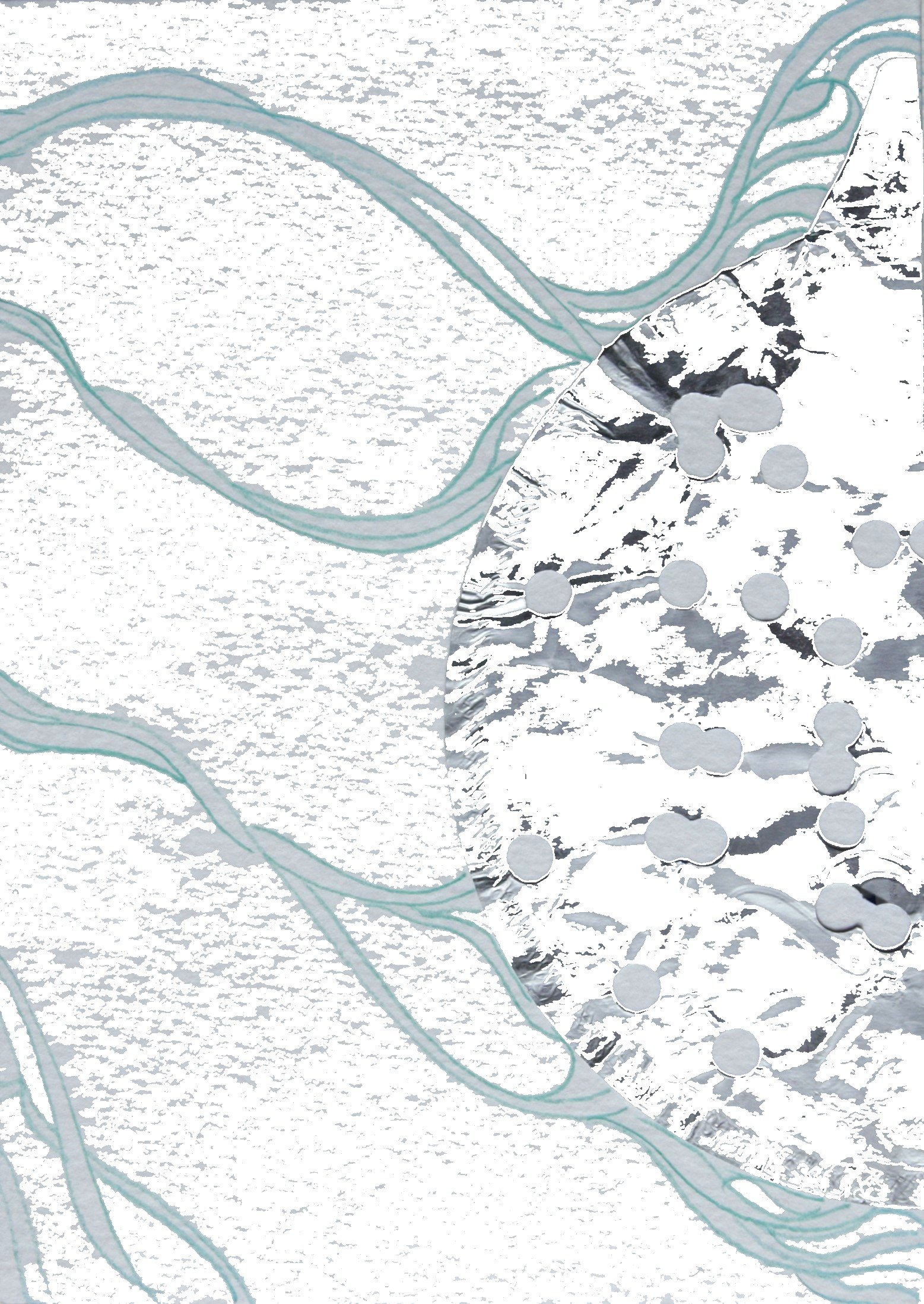Flow 3 white.jpg
