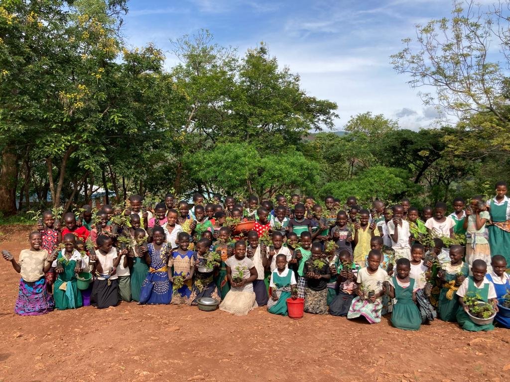 Planting trees for the climate in Malawi