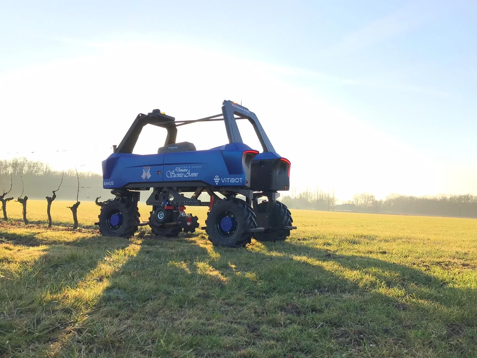 Robot Bakus dans les vignes : Remplacer le glyphosate par un travail du sol robotisé