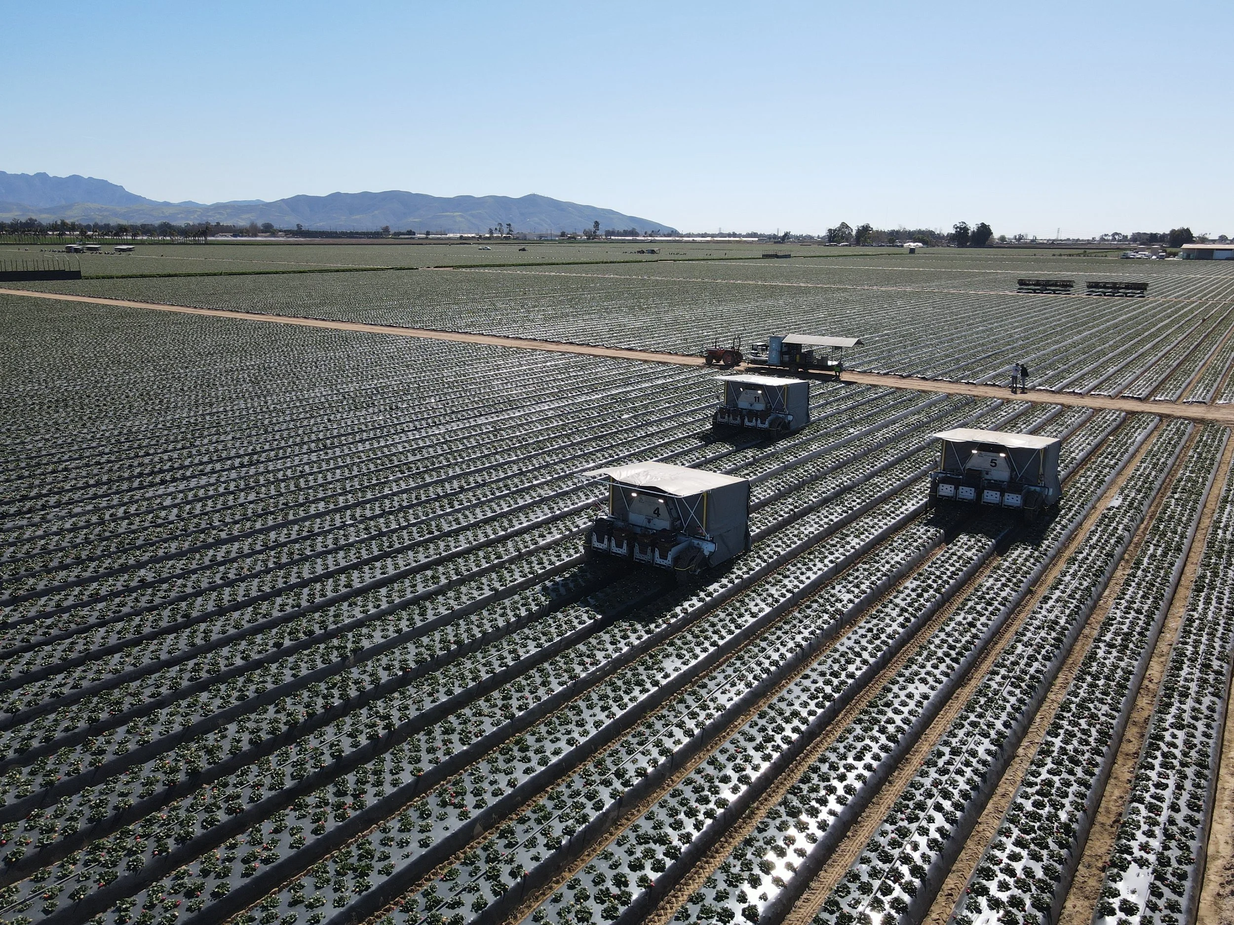 Les robots Advanced.Farms qui récoltent les fraises, l’avenir est là !