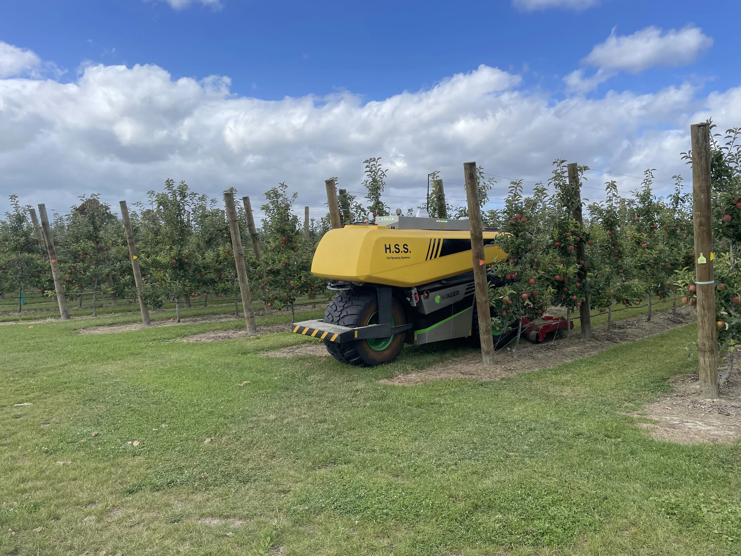Yellow agricultural robot machine harvesting apples in an orchard.