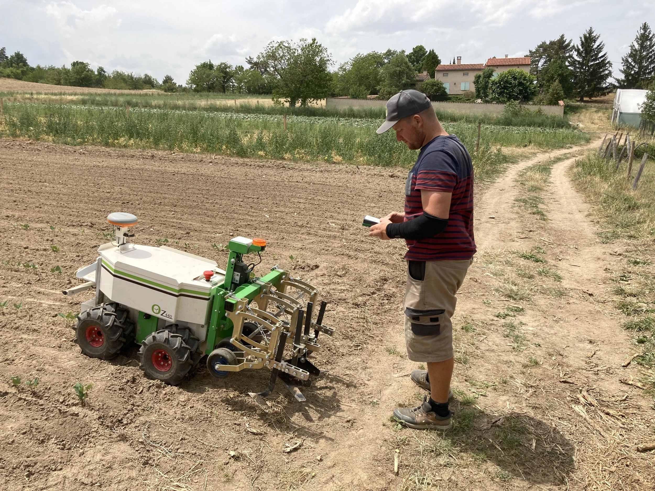 Person operates a small agricultural robot in a field