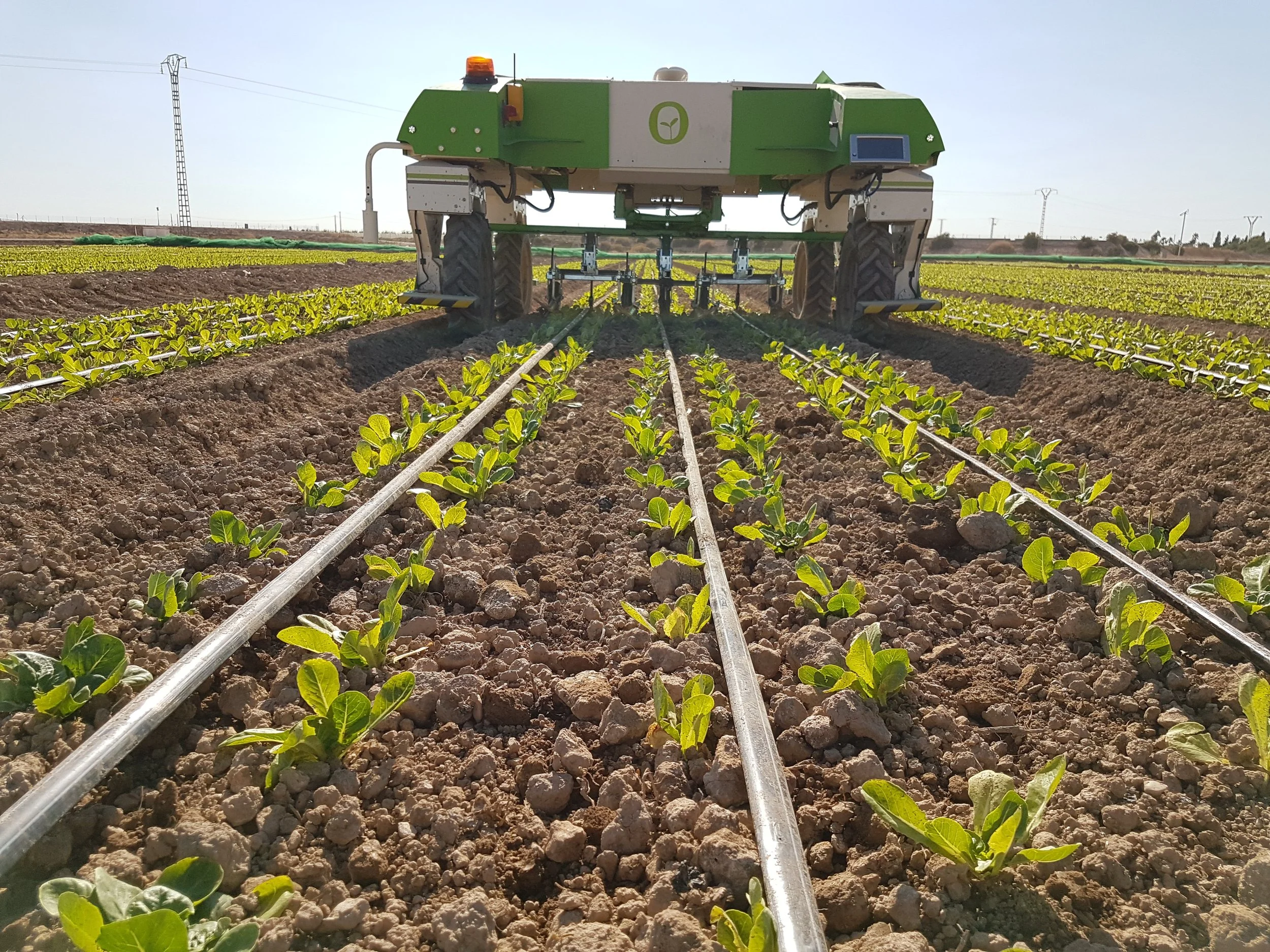 Agricultural robot tending to rows of young plants in a field, with soil and irrigation lines visible.