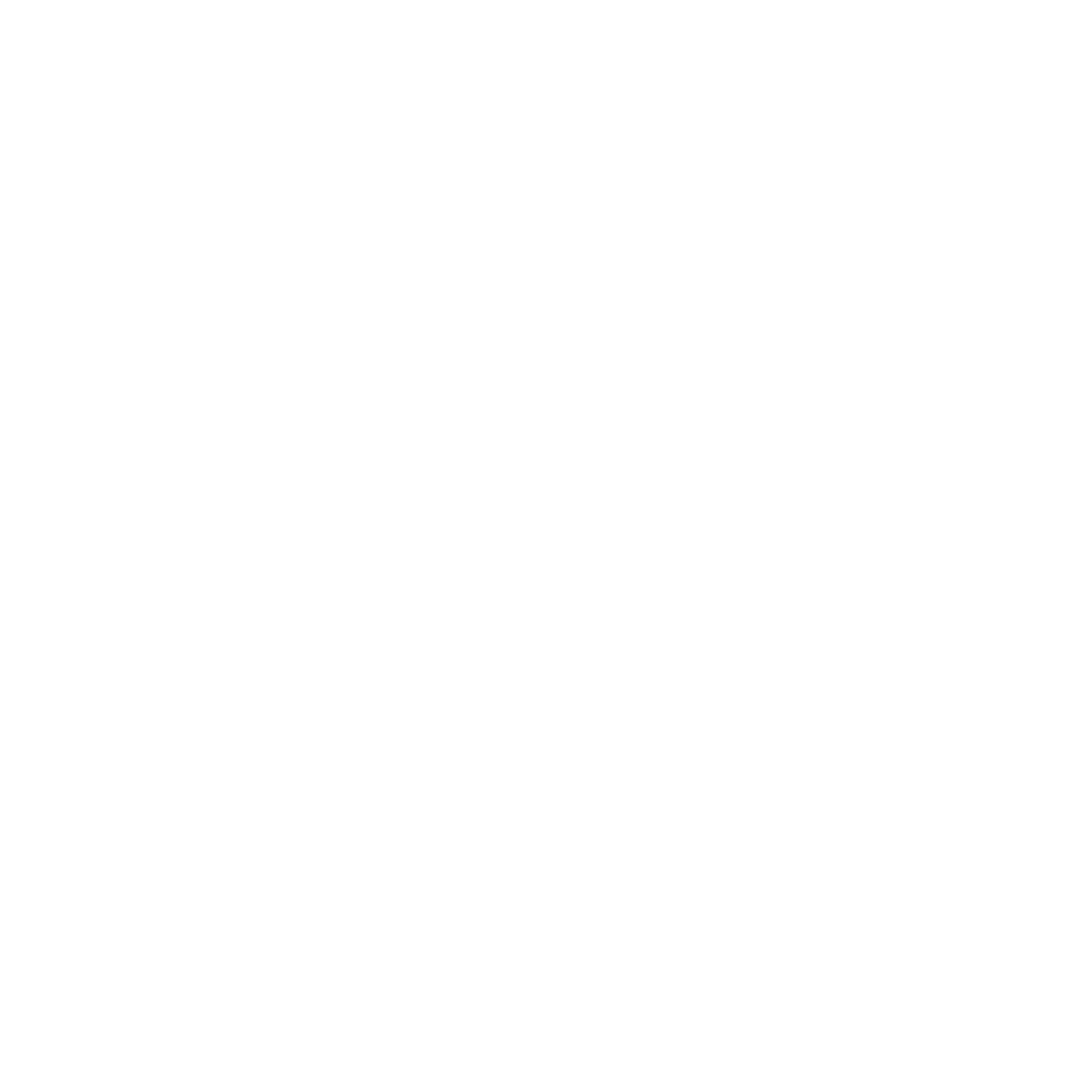 Outline of a report with pie and bar charts