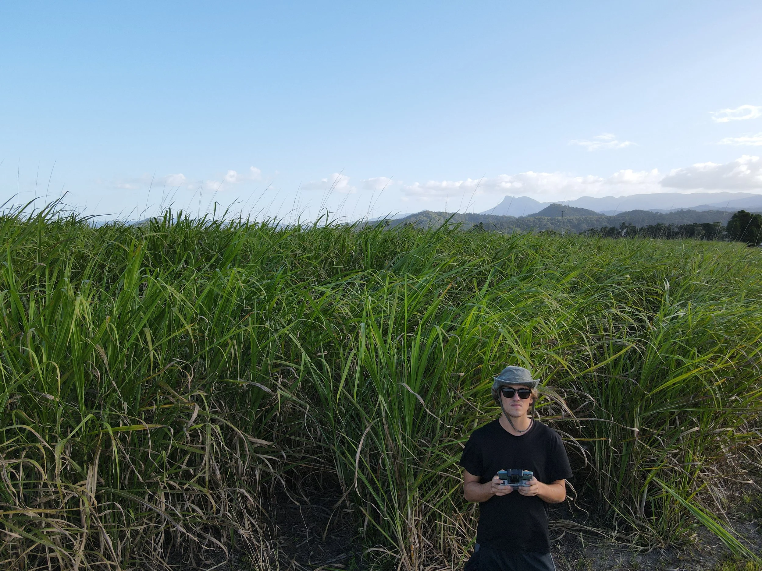 Person controlling drone in field of tall grass with mountains in the background.