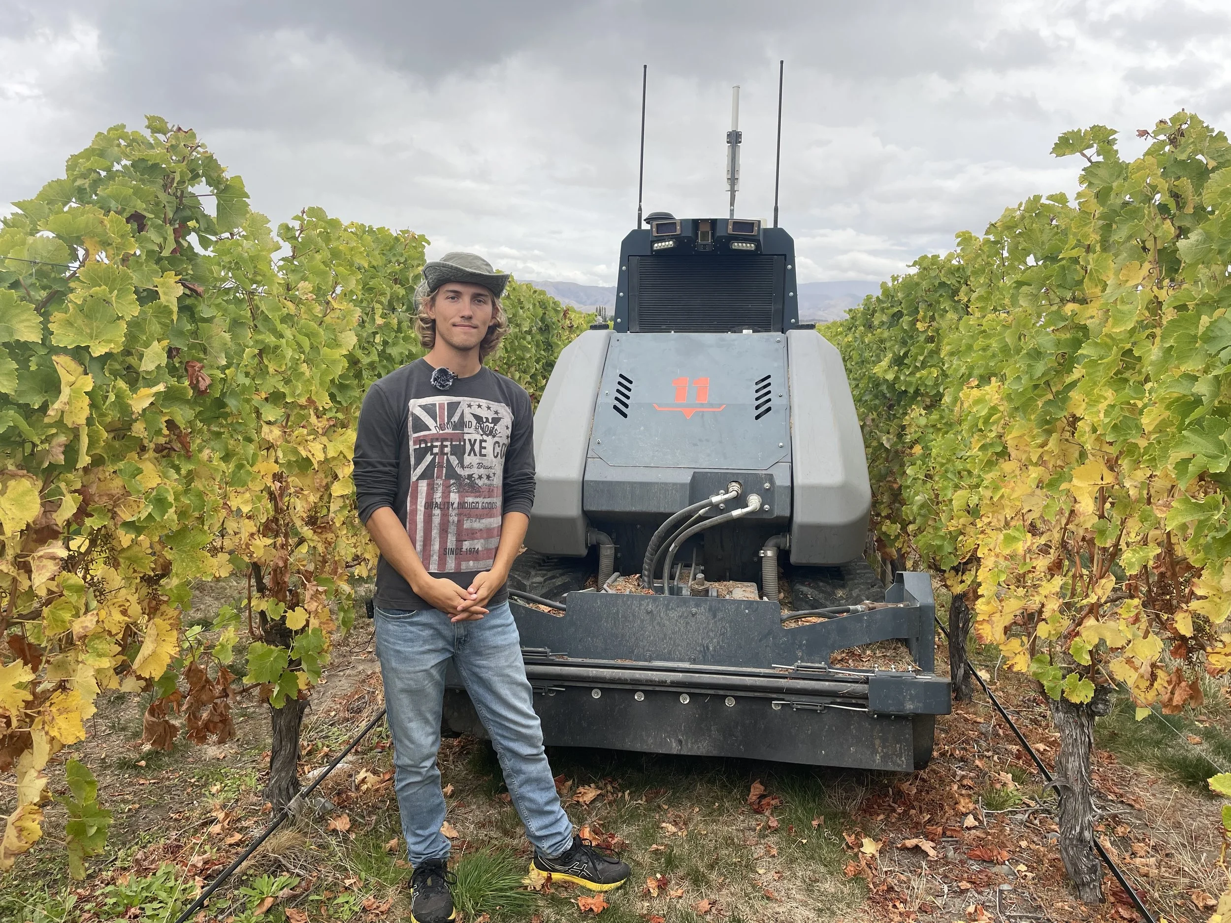 A person standing in a vineyard next to a large agricultural machine on a cloudy day.