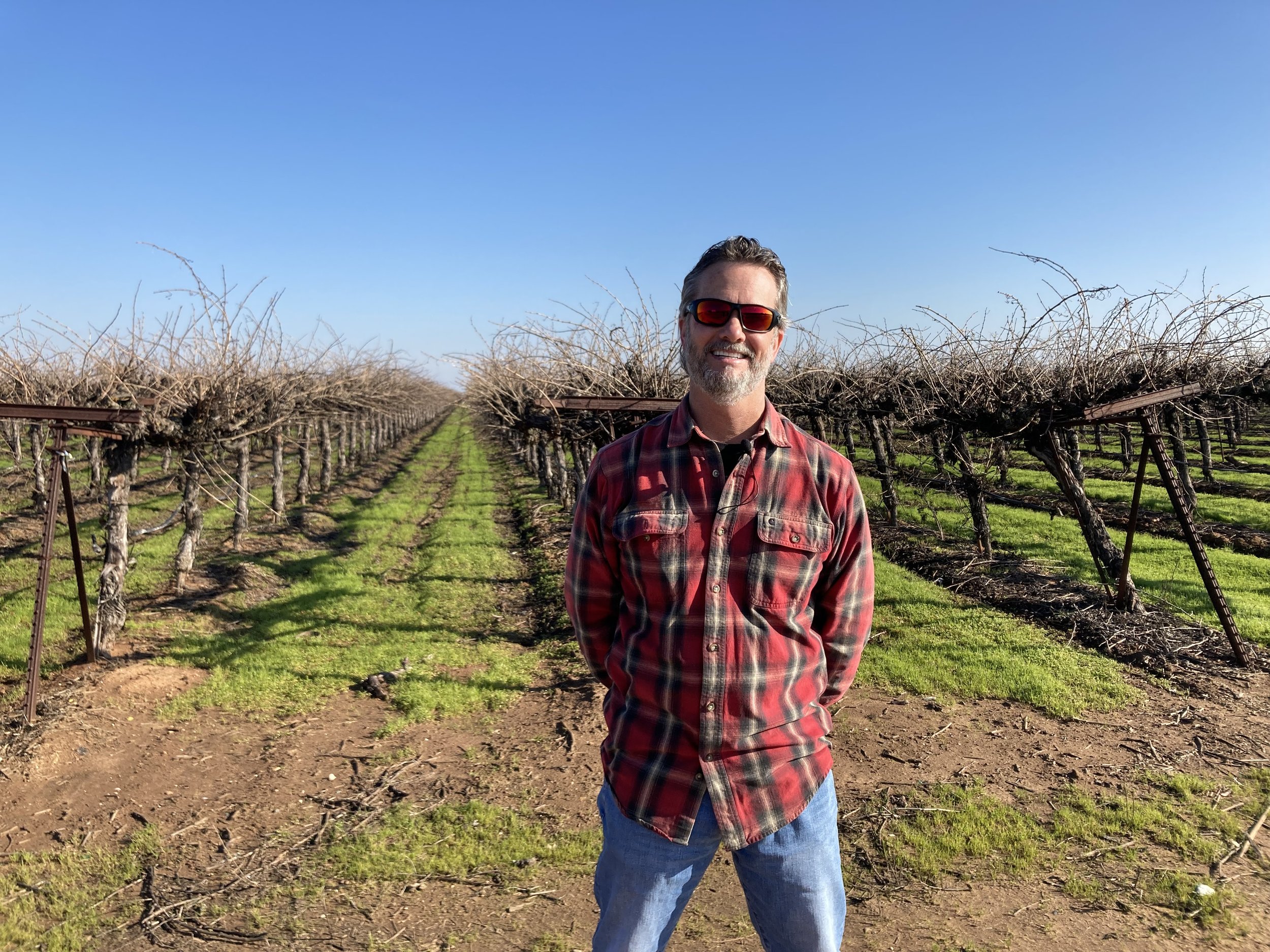 Man in plaid shirt standing in a vineyard with bare vines under a clear blue sky.