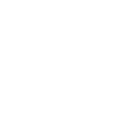 Globe icon with airplane symbolizing travel.