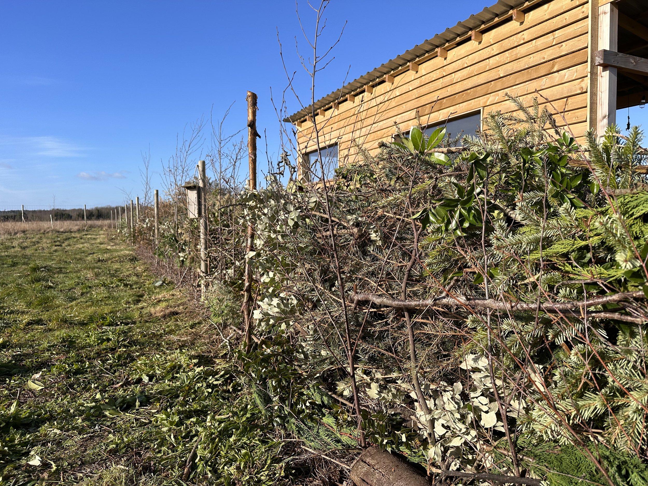 Dead Hedge workshop