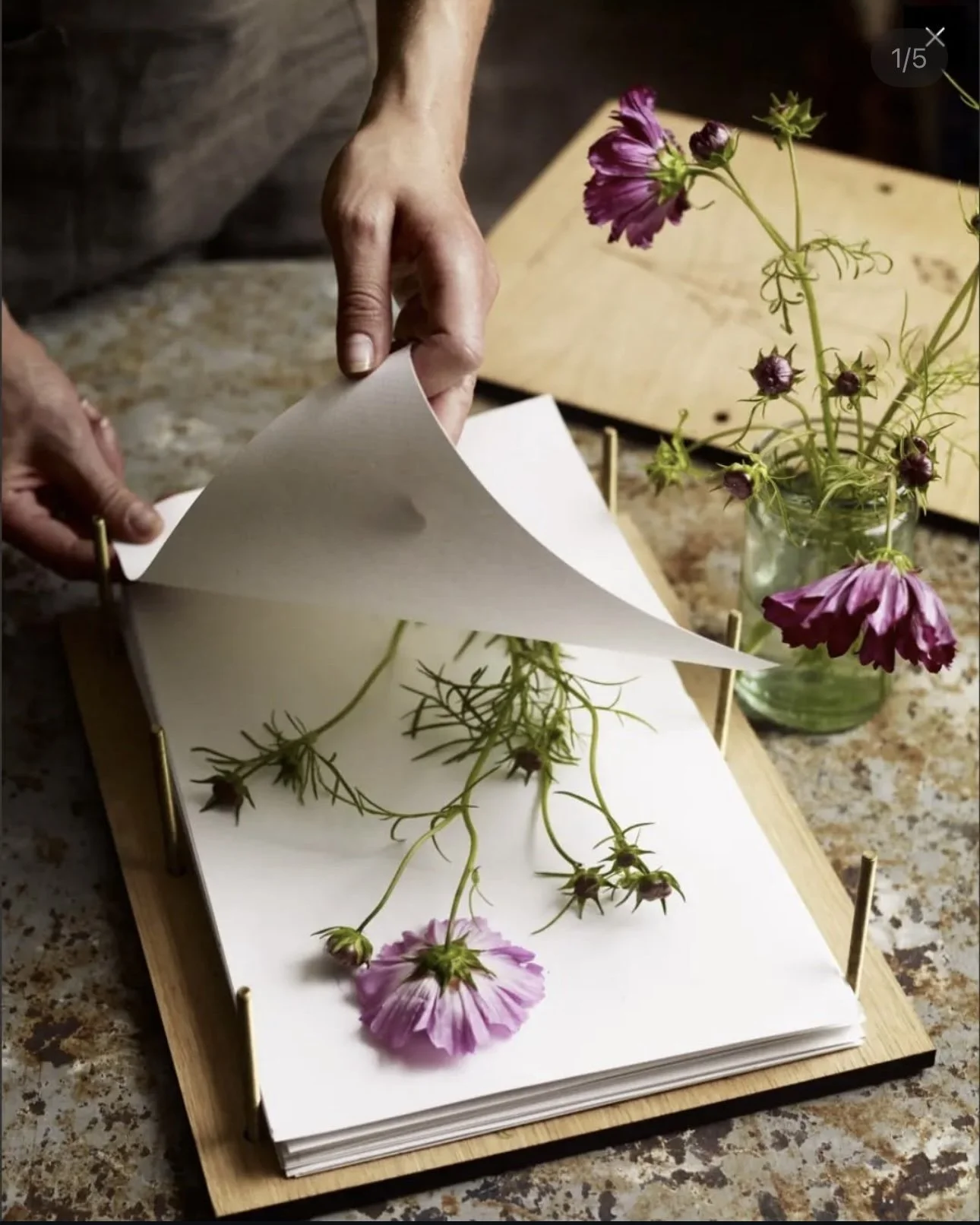 wildflower press workshop